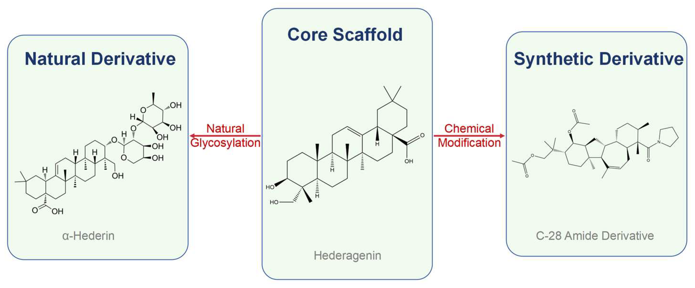 Molecules 30 03393 g002