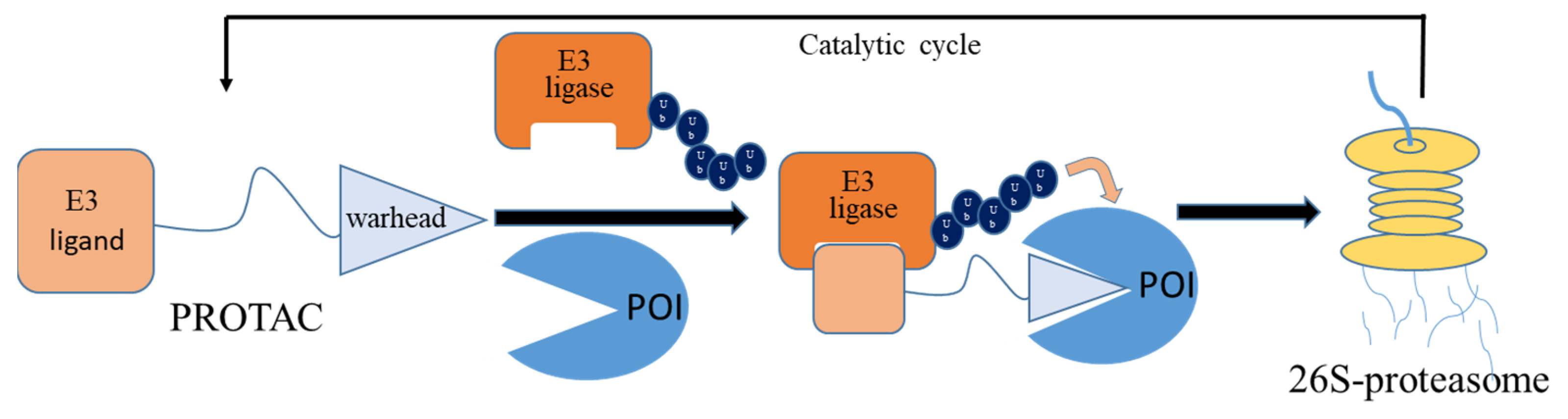 Molecules 30 03402 g001