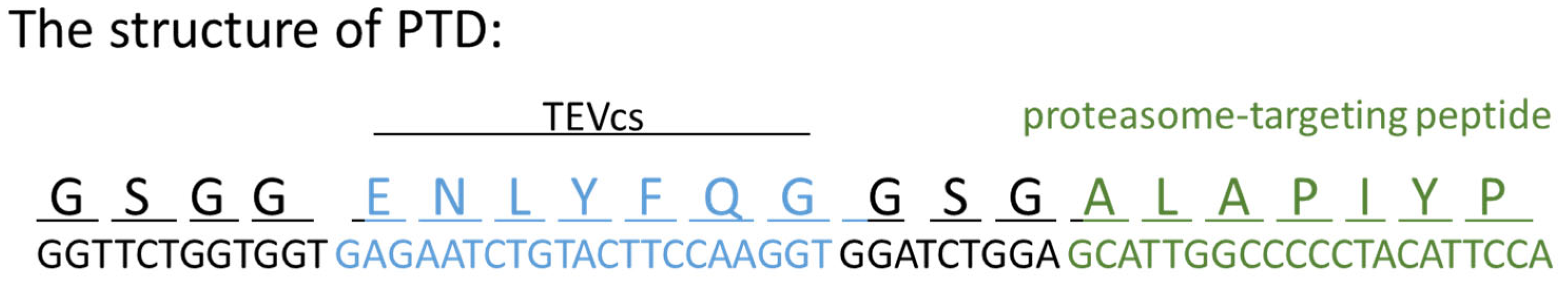Molecules 30 03402 g006