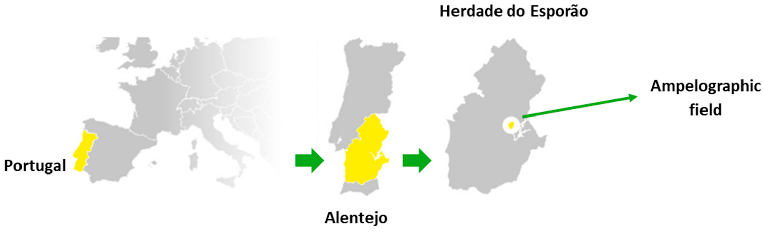 Molecules 30 03408 g003 Molecules 30 03408 g003