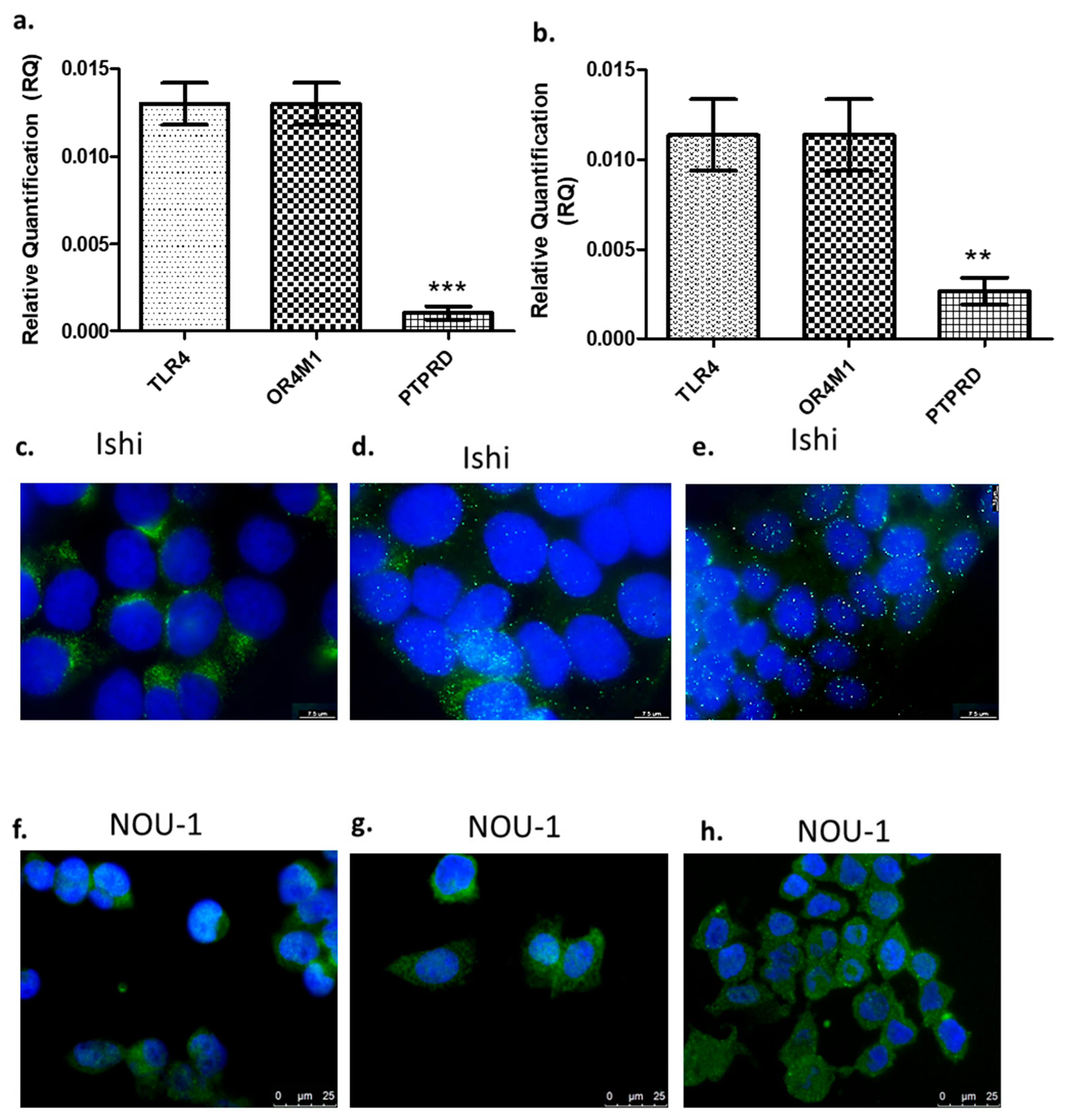 Molecules 30 03410 g001