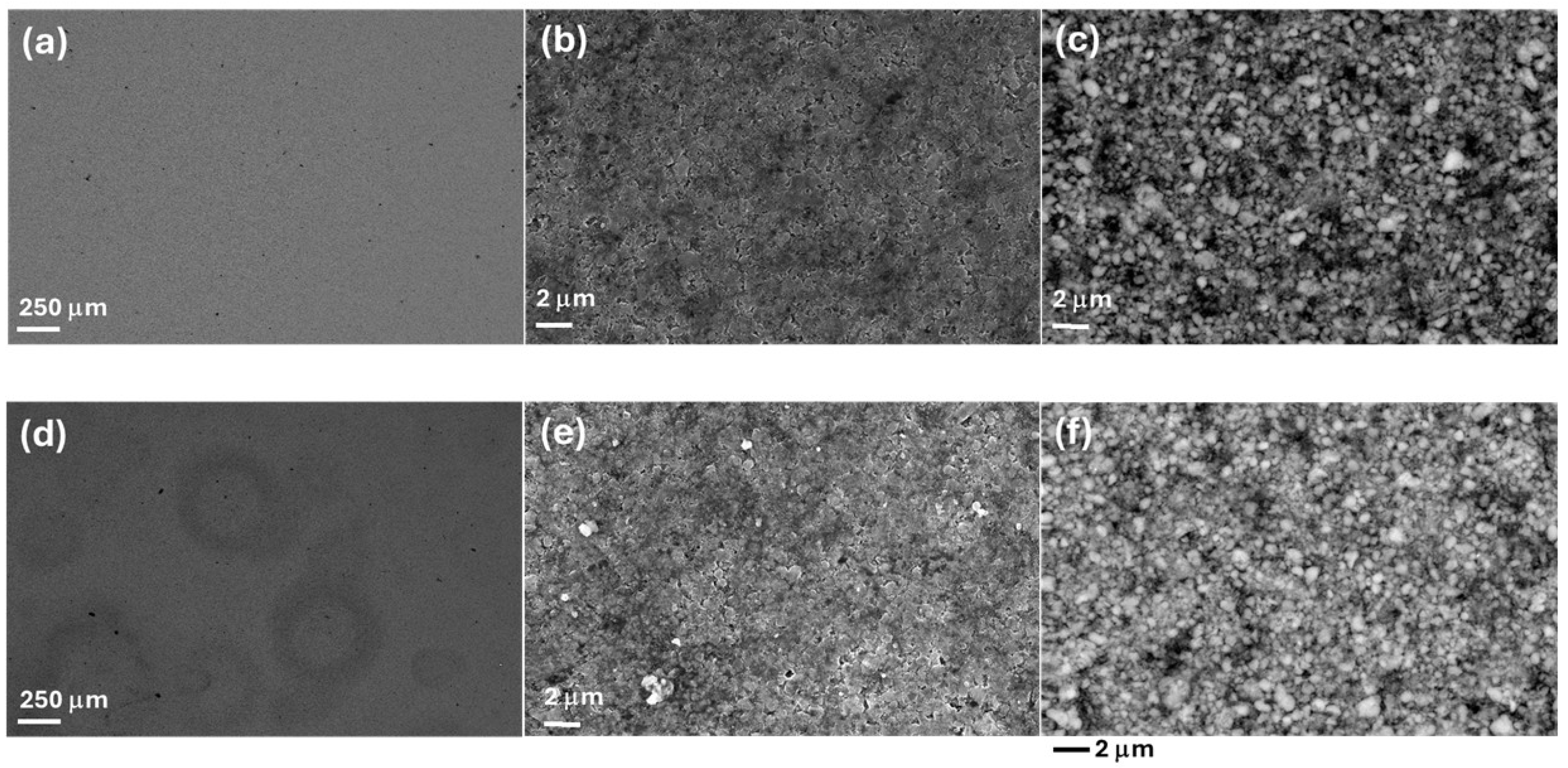 Molecules 30 03448 g005
