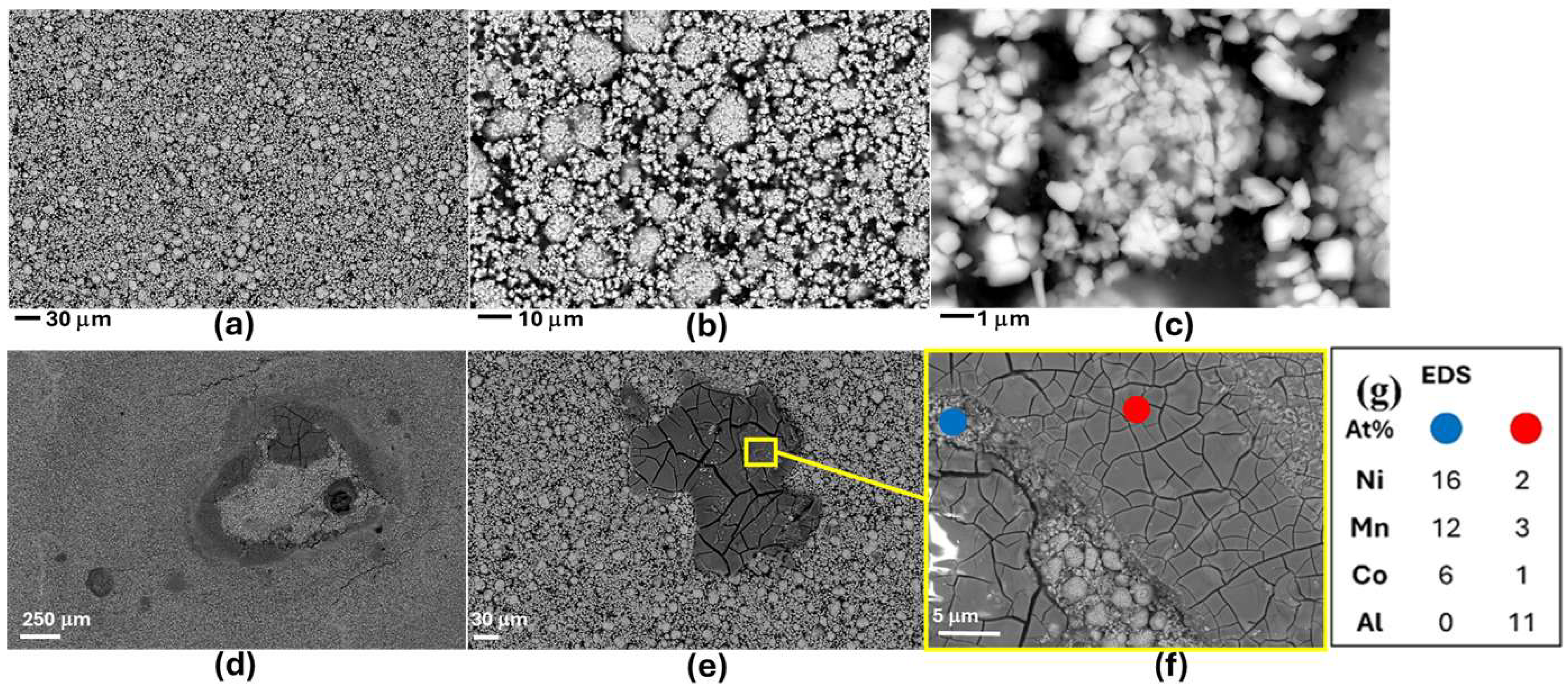 Molecules 30 03448 g007