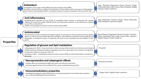Molecules 30 03449 g002
