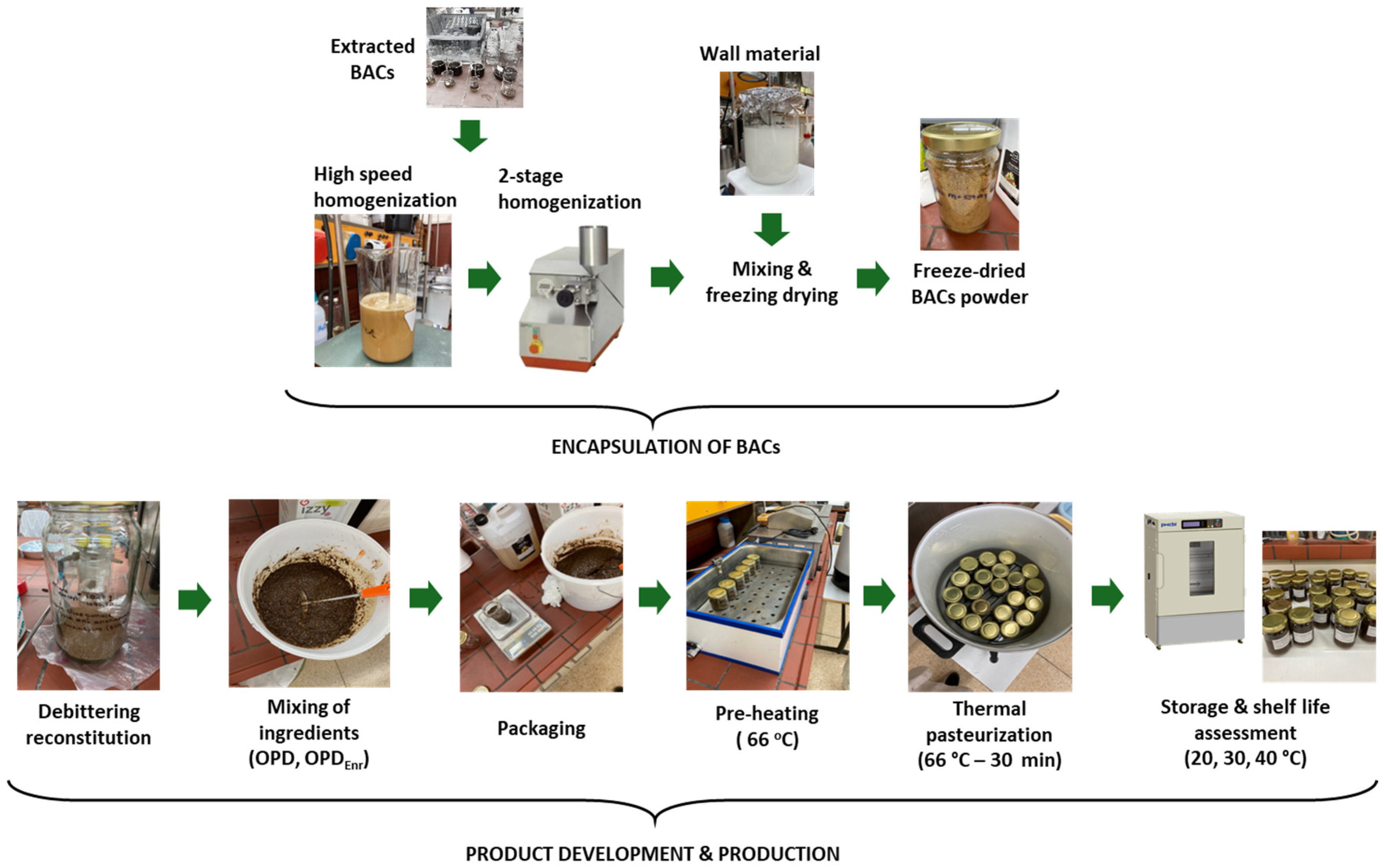 Molecules 30 03459 g009