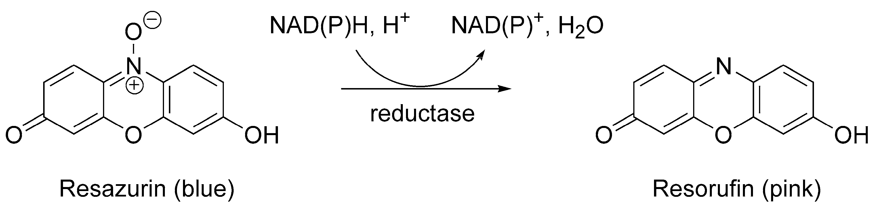 Molecules 30 03461 sch002