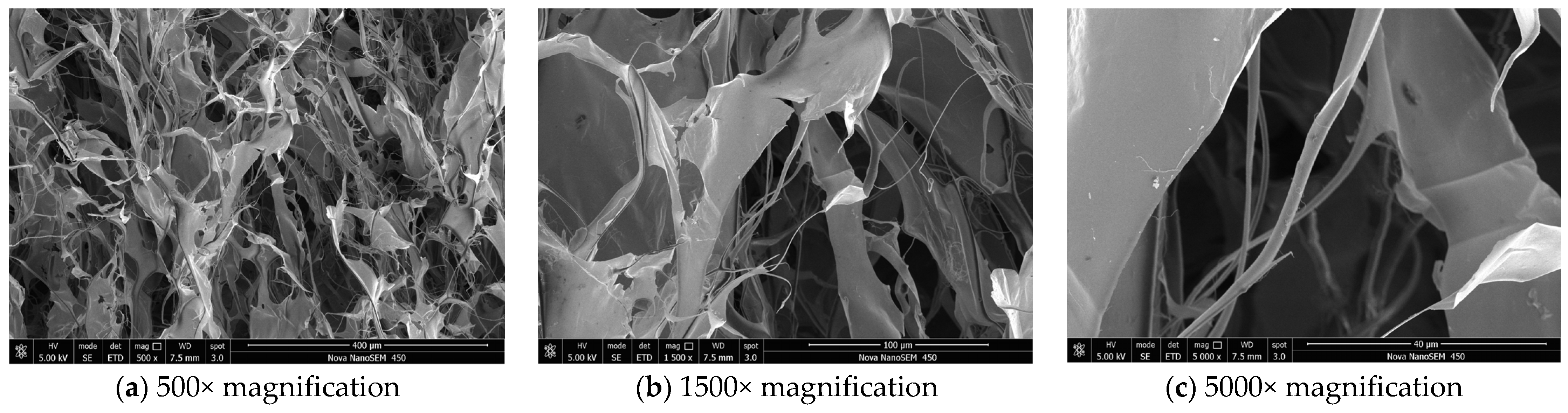 Molecules 30 03469 g004 Molecules 30 03469 g004