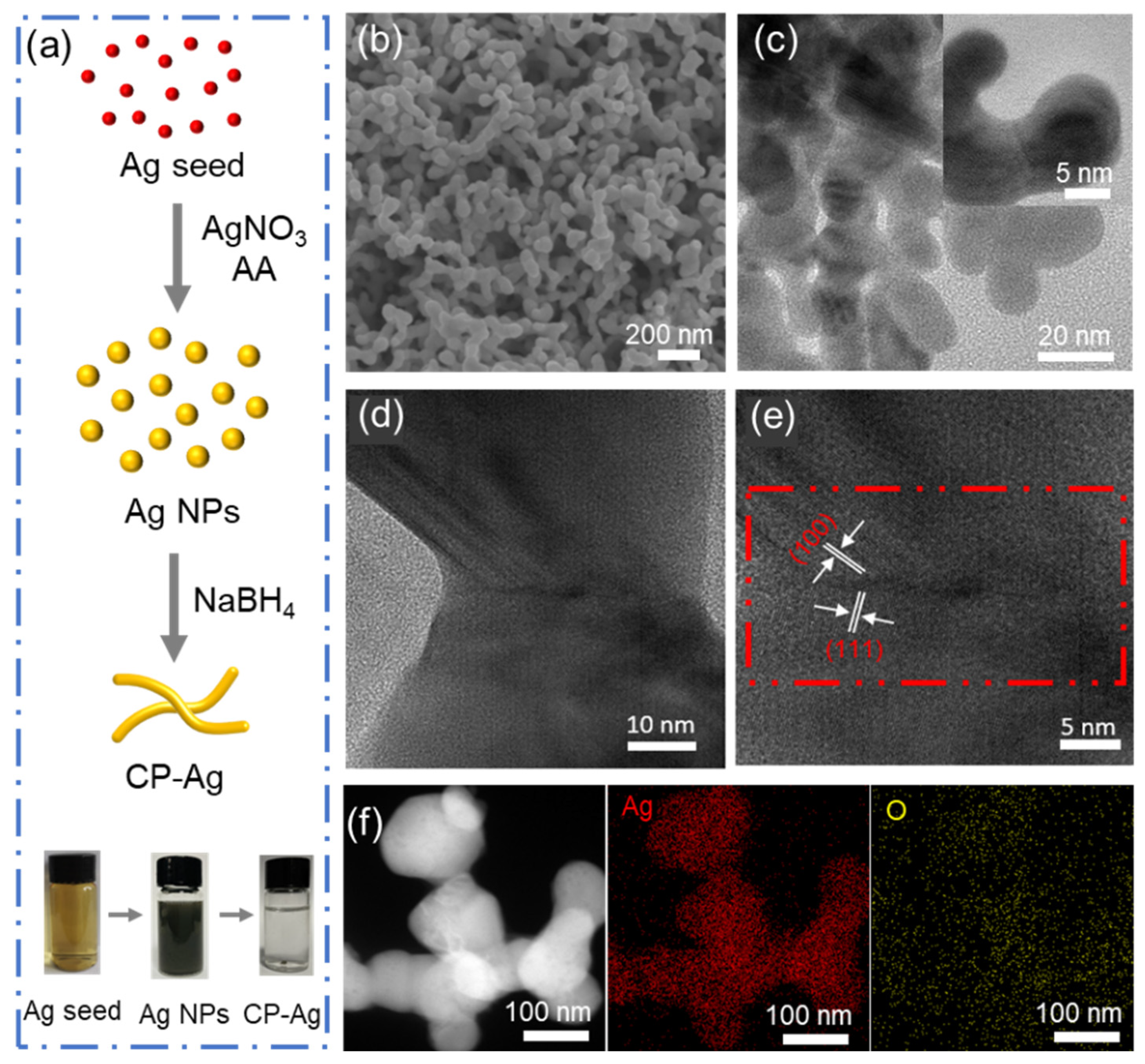 Molecules 30 03475 g001 Molecules 30 03475 g001