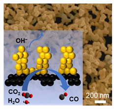 Molecules 30 03475 i001