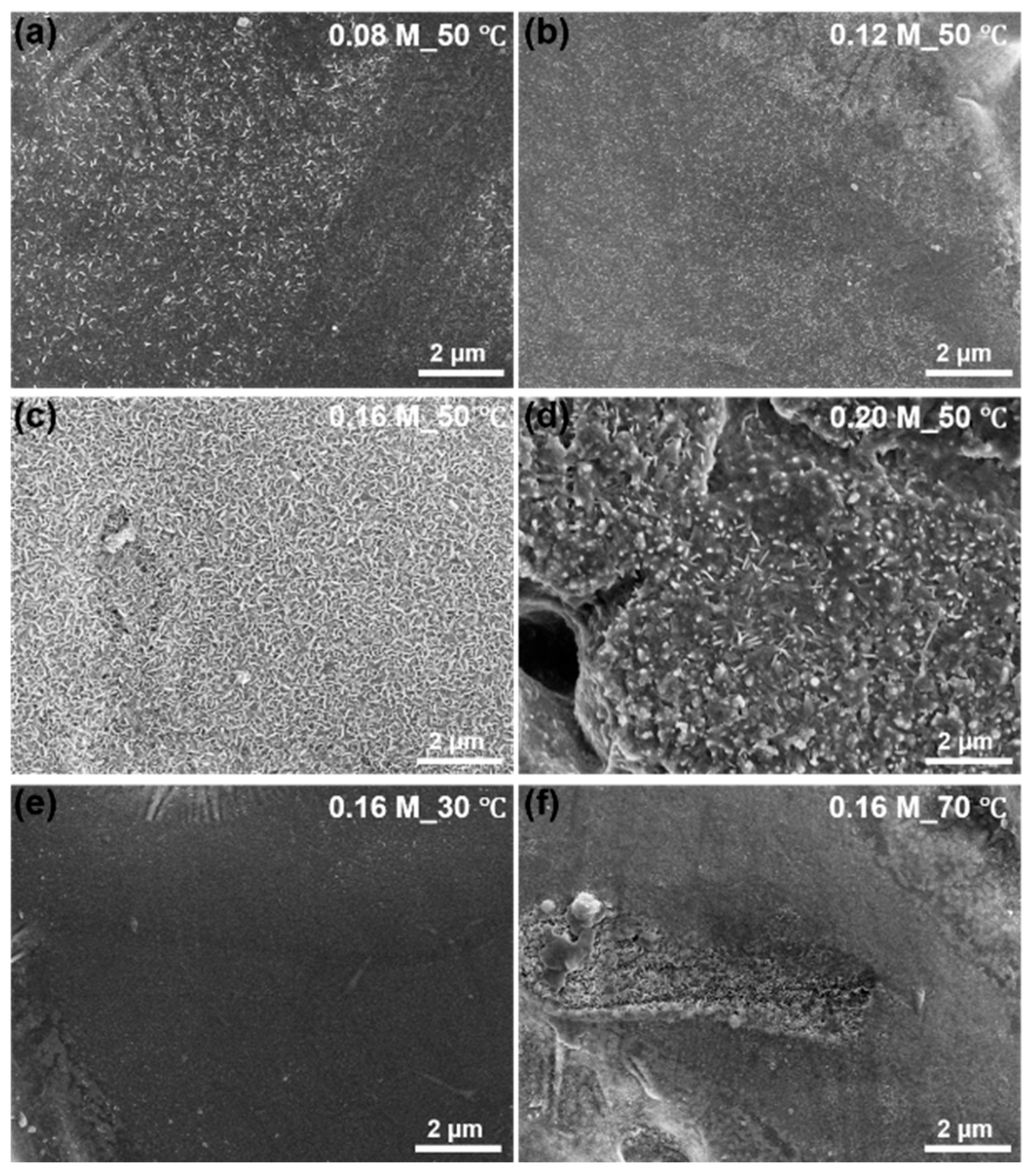 Molecules 30 03491 g001 Molecules 30 03491 g001