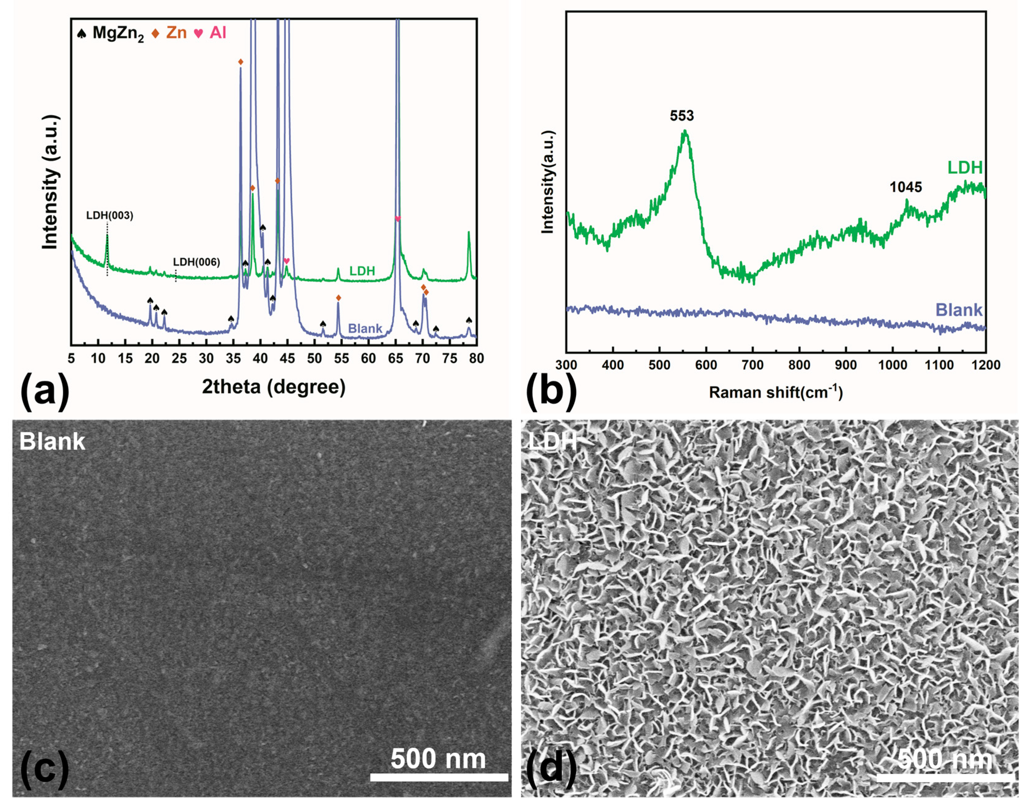 Molecules 30 03491 g002 Molecules 30 03491 g002