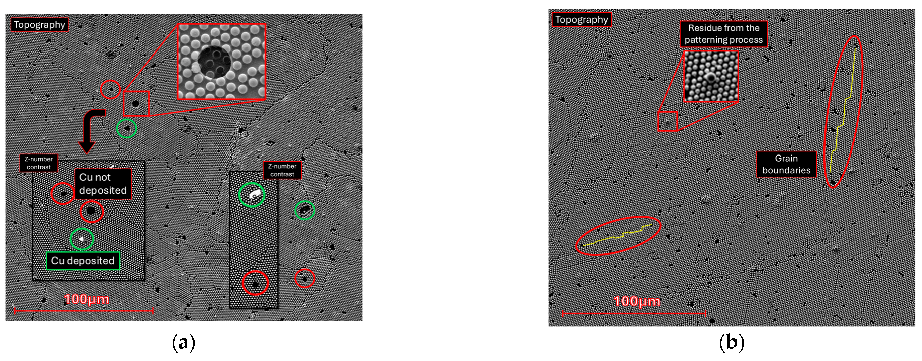 Molecules 30 03493 g003 Molecules 30 03493 g003