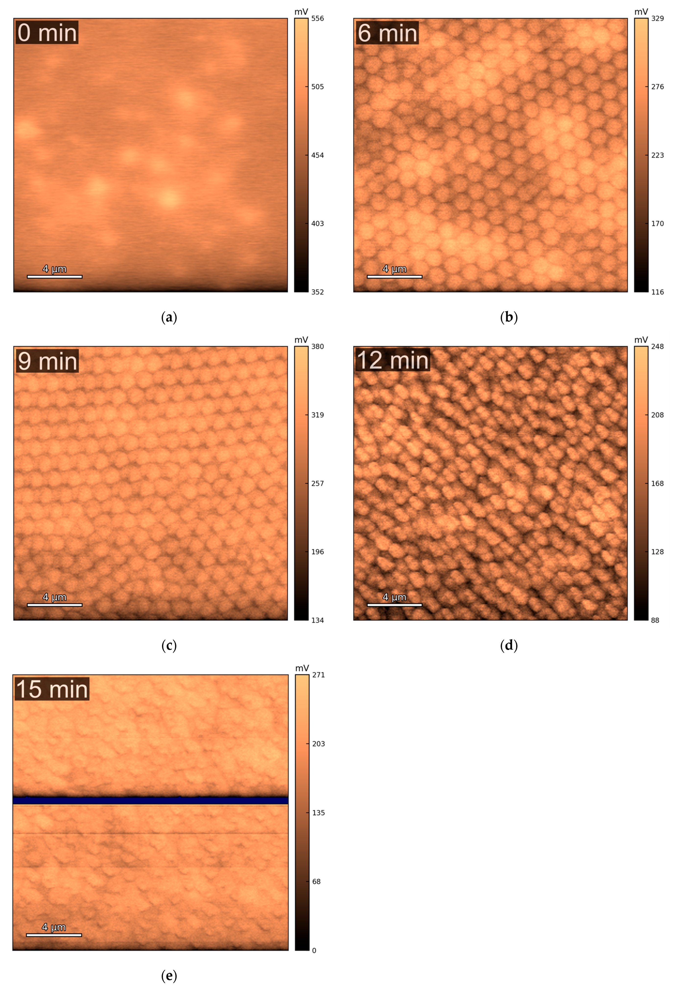 Molecules 30 03493 g005 Molecules 30 03493 g005