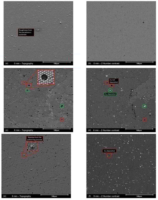Molecules 30 03493 g0a6a