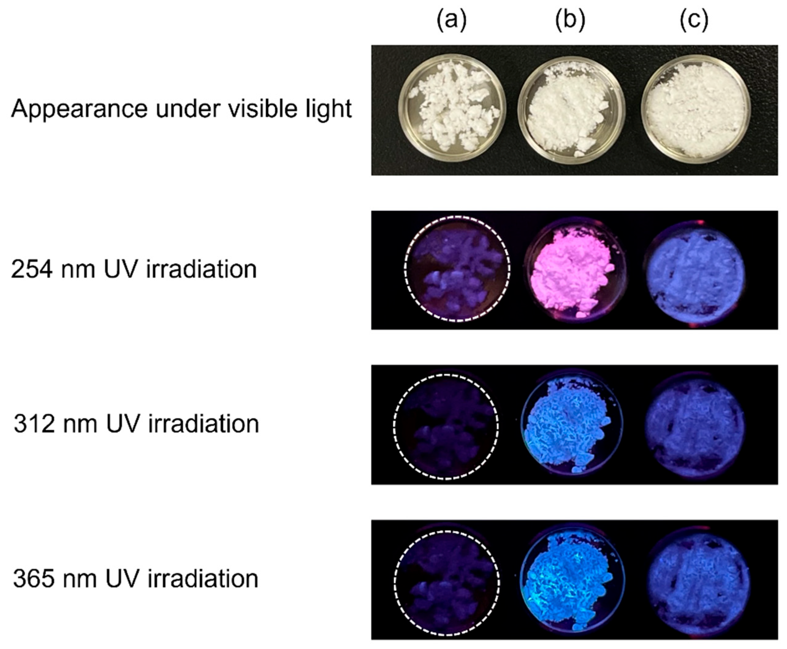 Molecules 30 03508 g003 Molecules 30 03508 g003