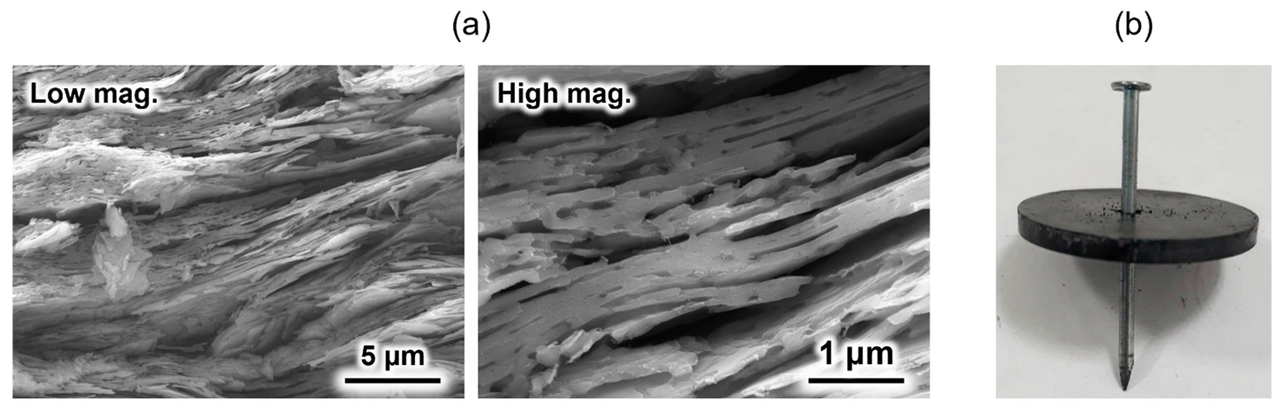 Molecules 30 03508 g004 Molecules 30 03508 g004