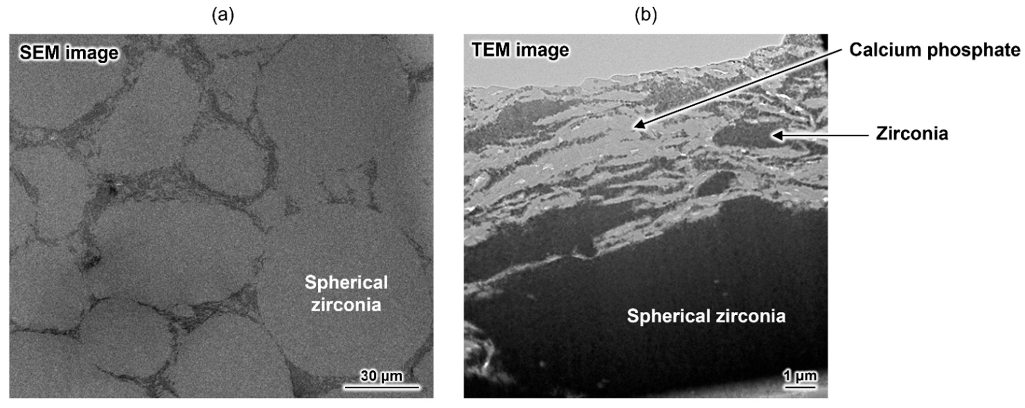Molecules 30 03508 g005 Molecules 30 03508 g005