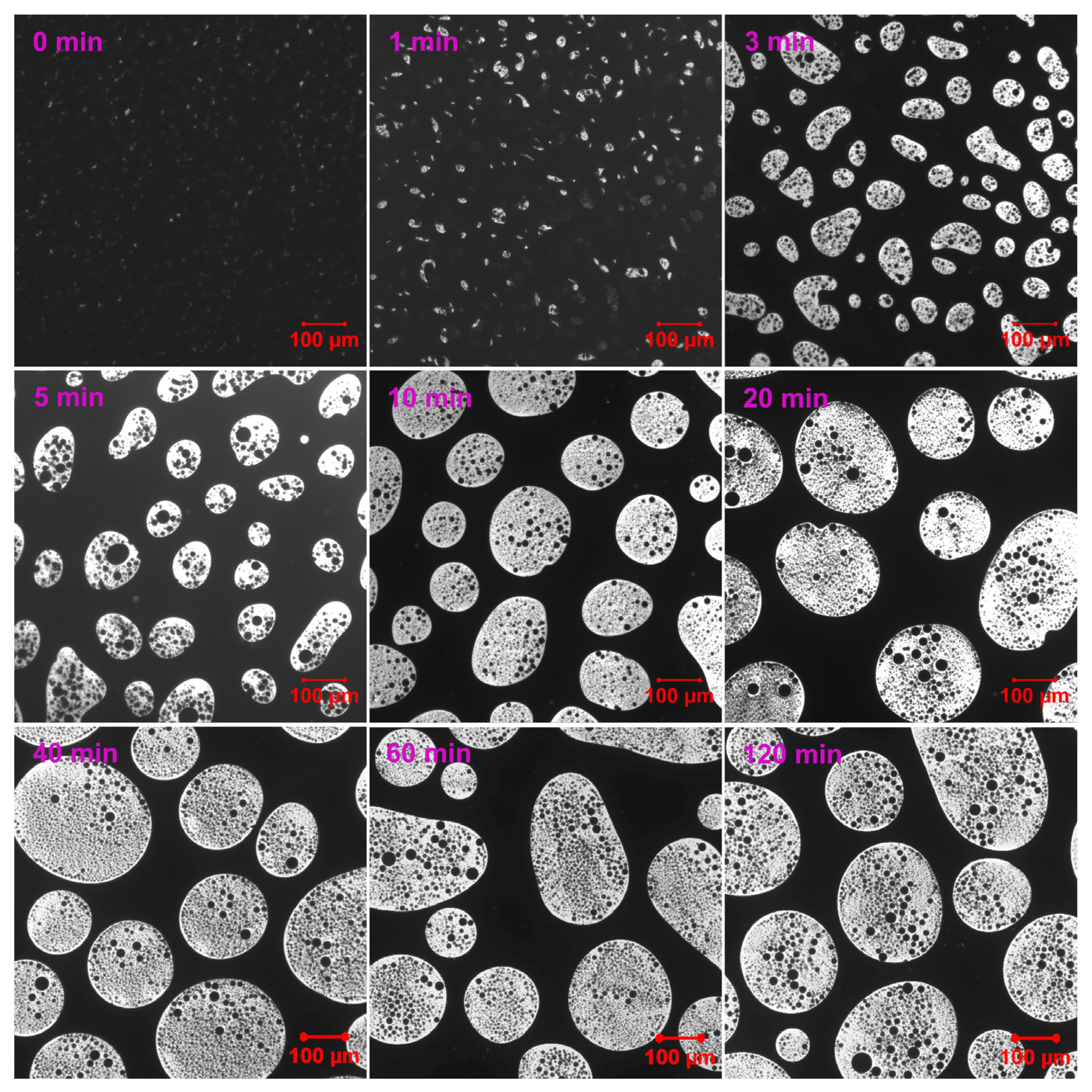 Molecules 30 03513 g003
