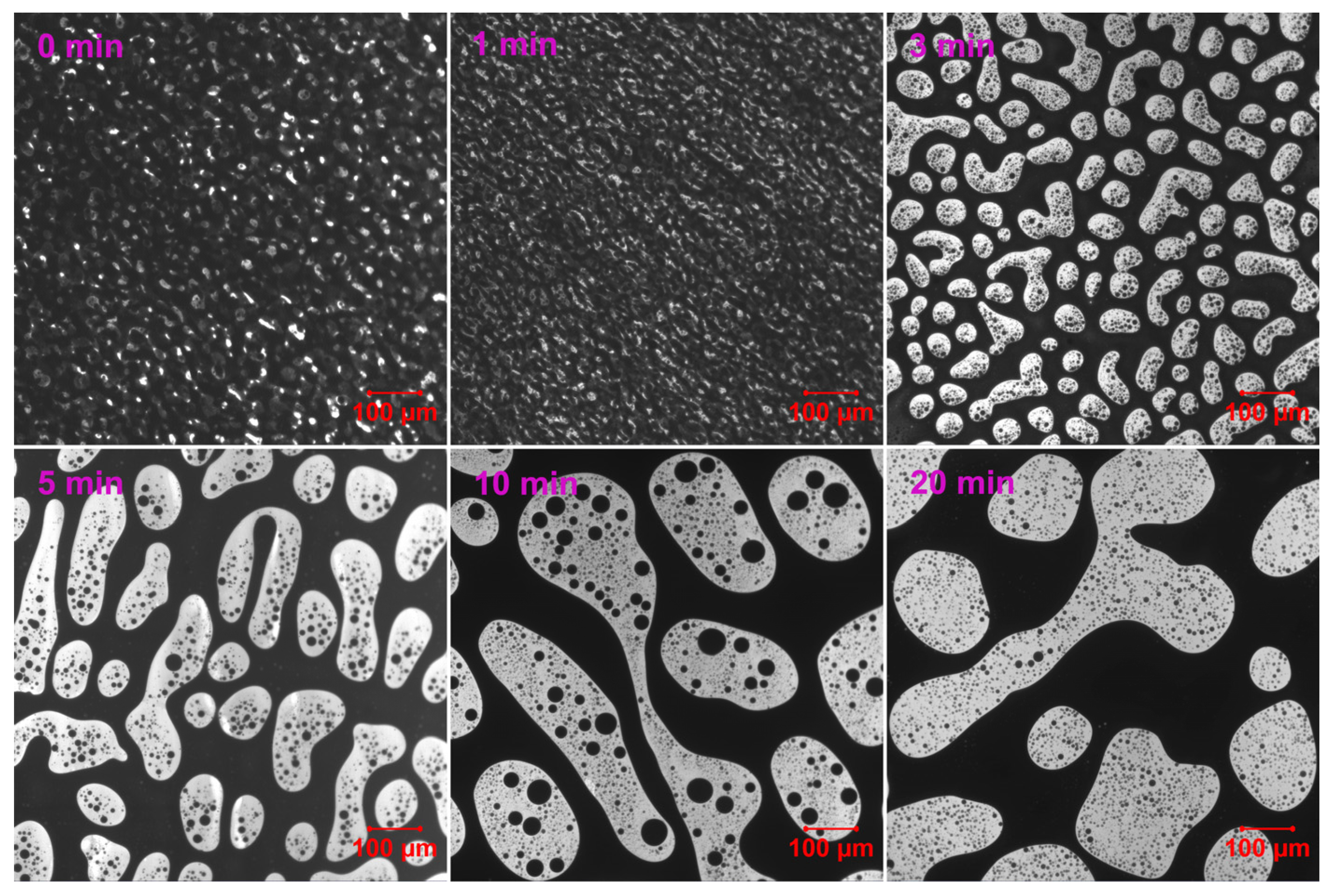 Molecules 30 03513 g005