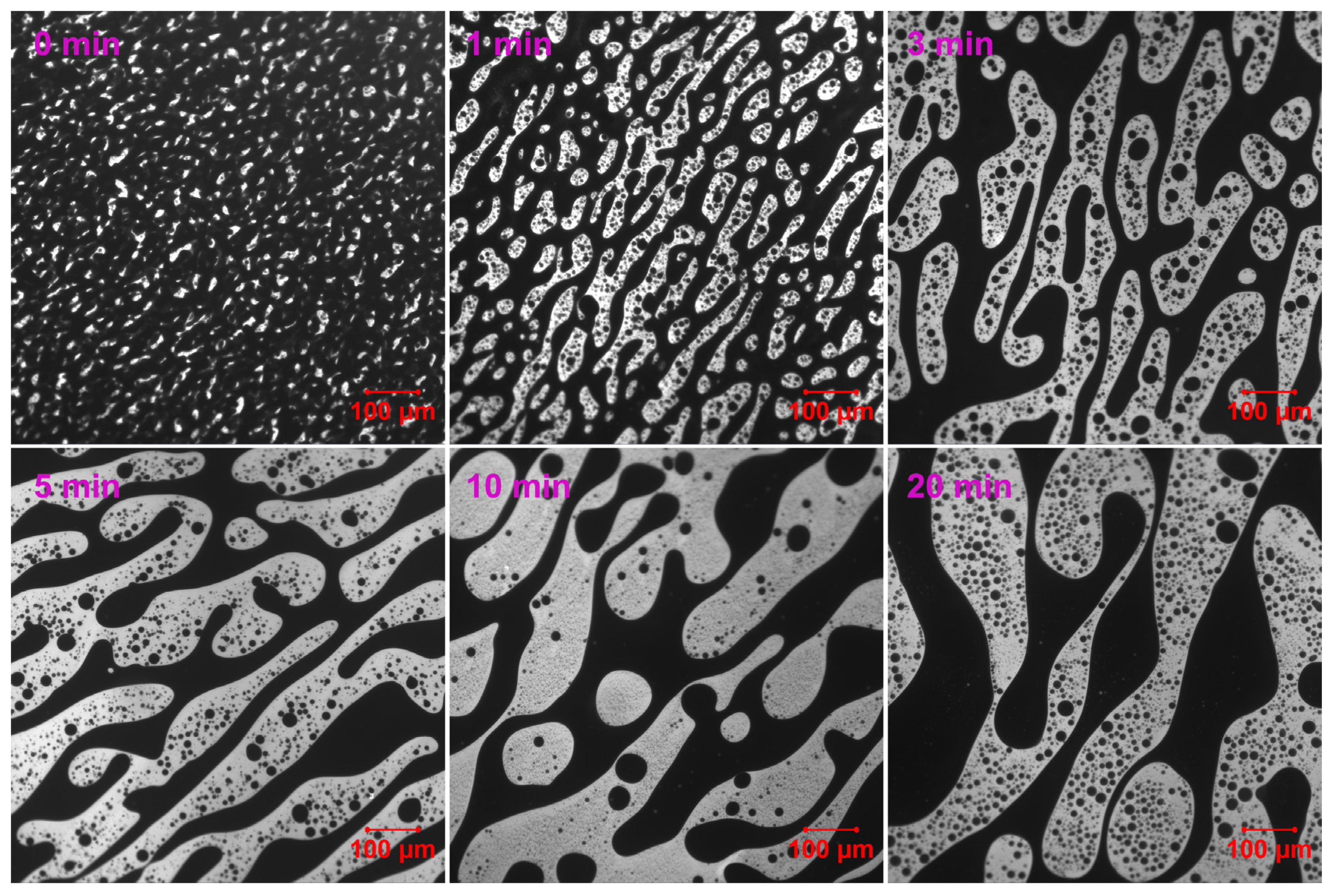 Molecules 30 03513 g006