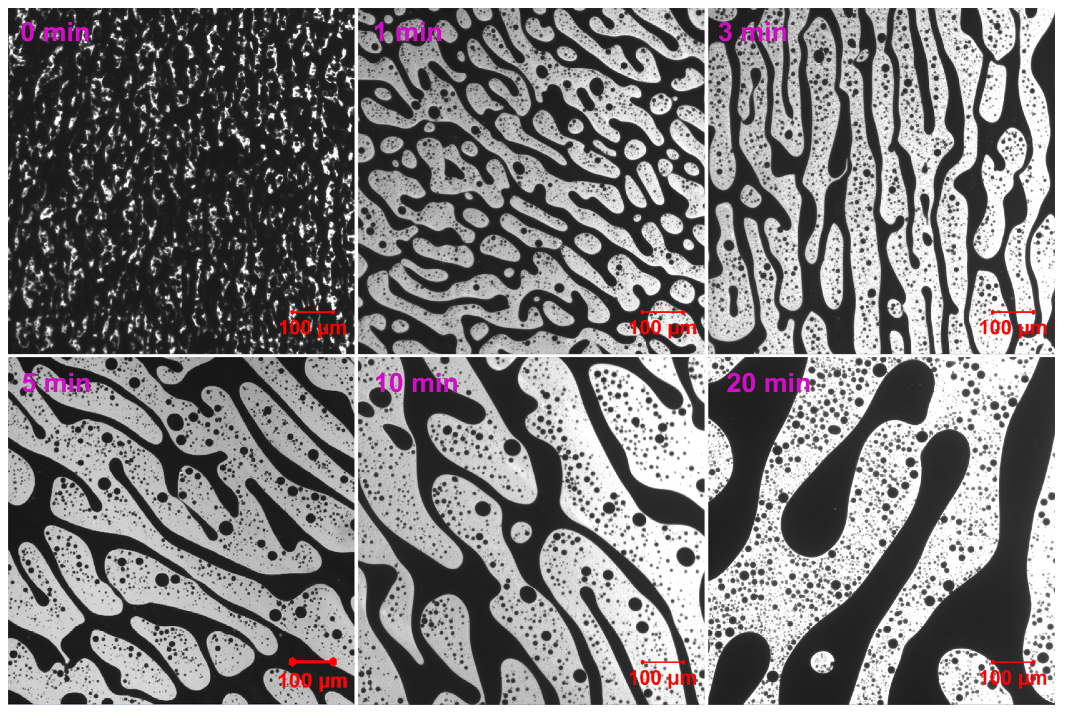 Molecules 30 03513 g007