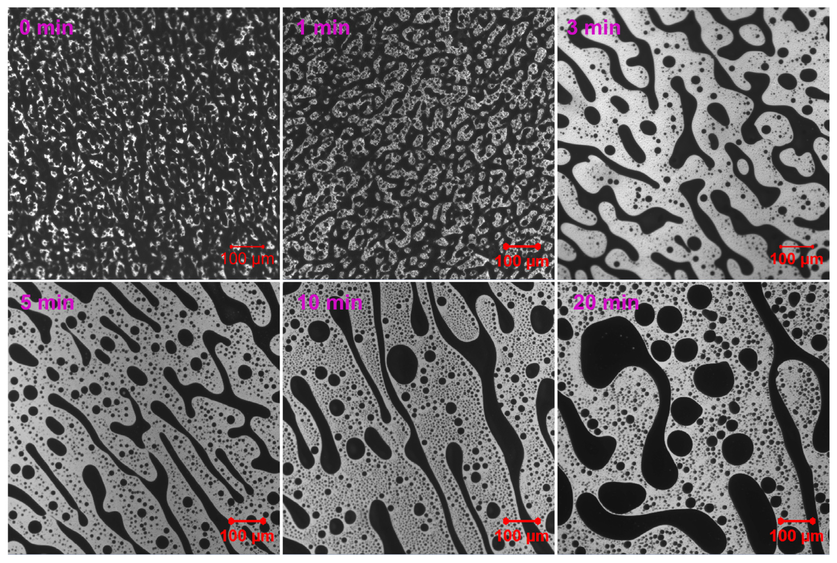 Molecules 30 03513 g008