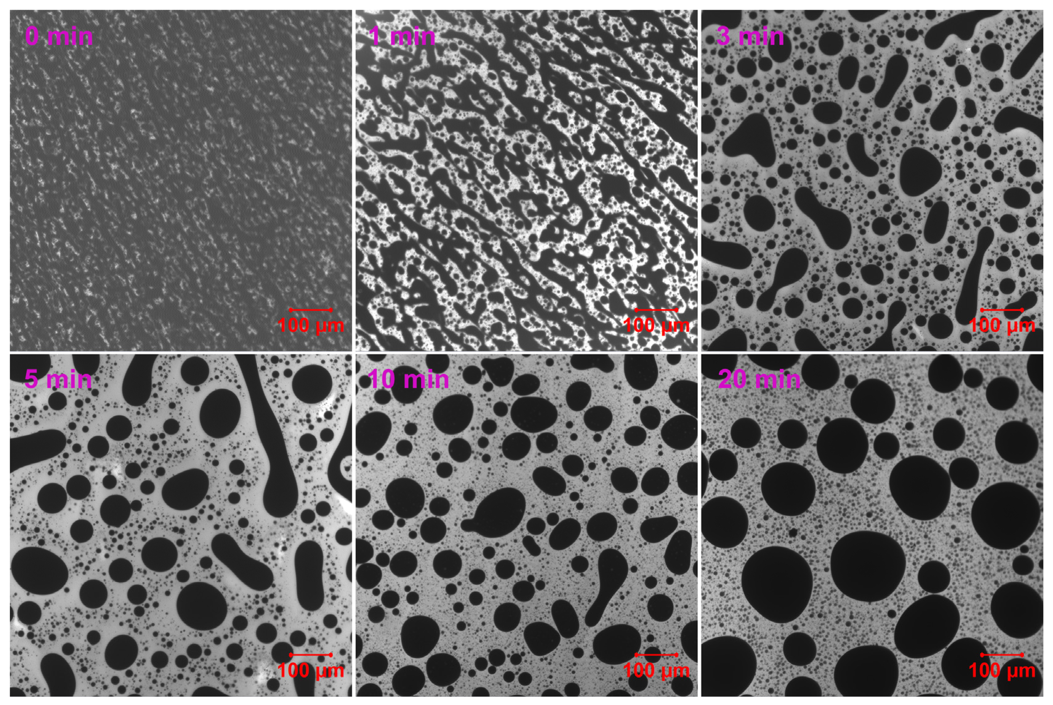 Molecules 30 03513 g009