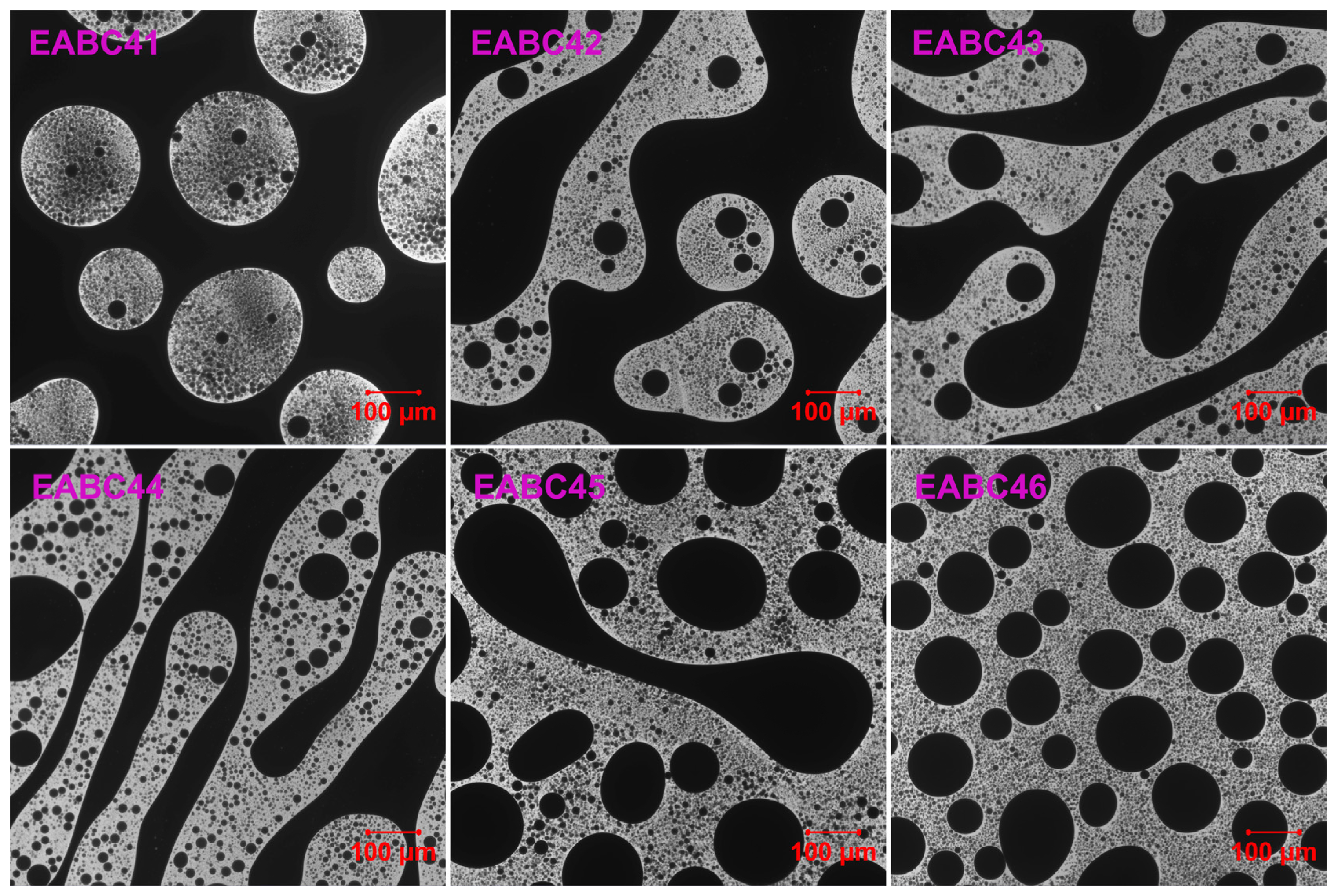 Molecules 30 03513 g012