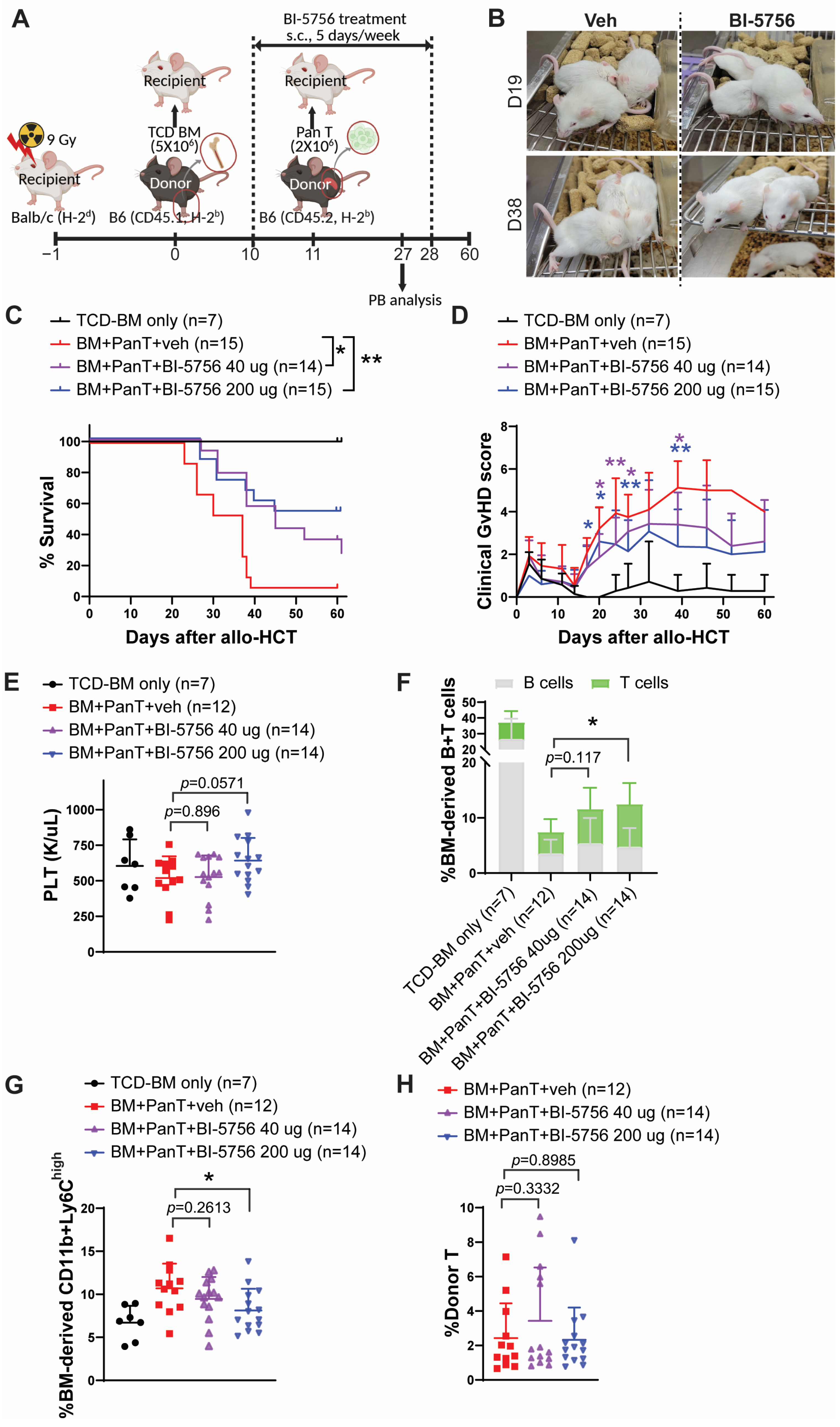 Molecules 30 03517 g002