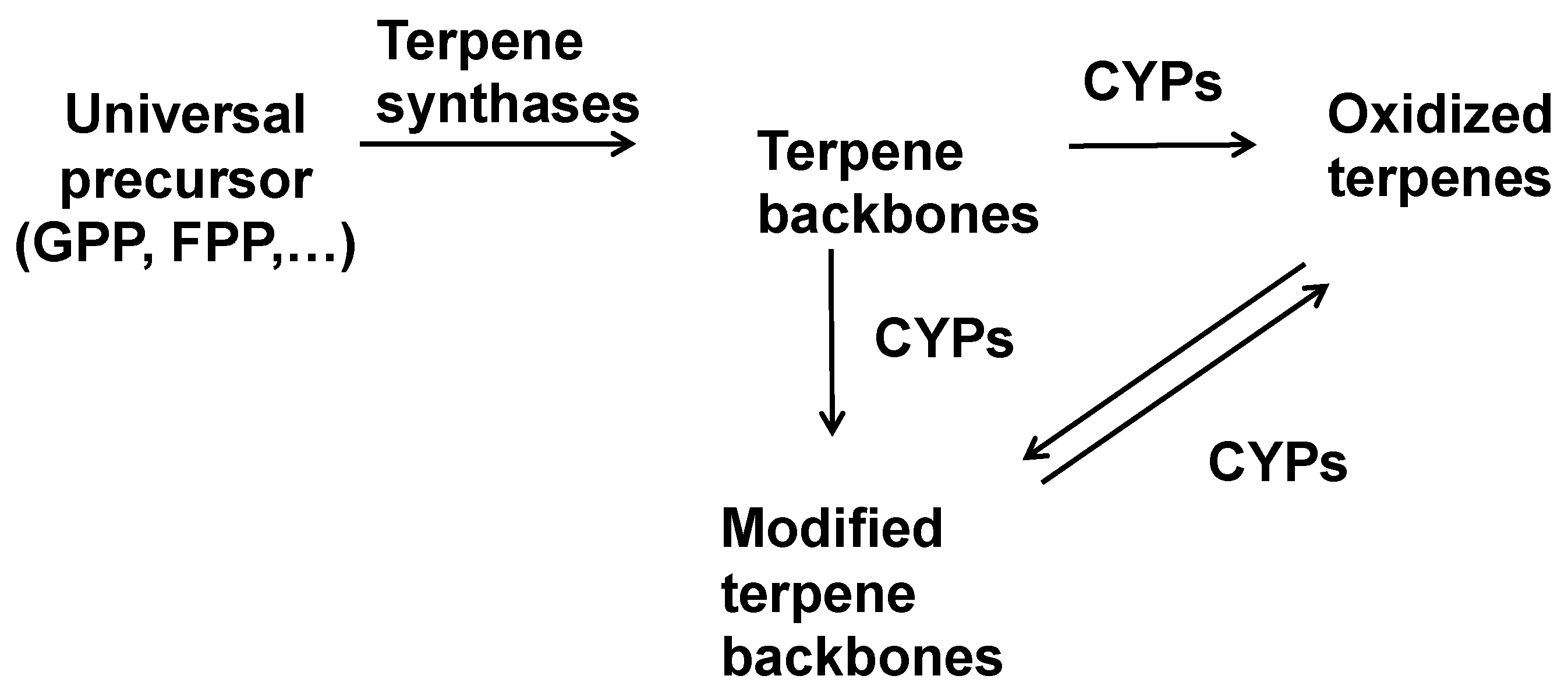 Molecules 30 03540 g001