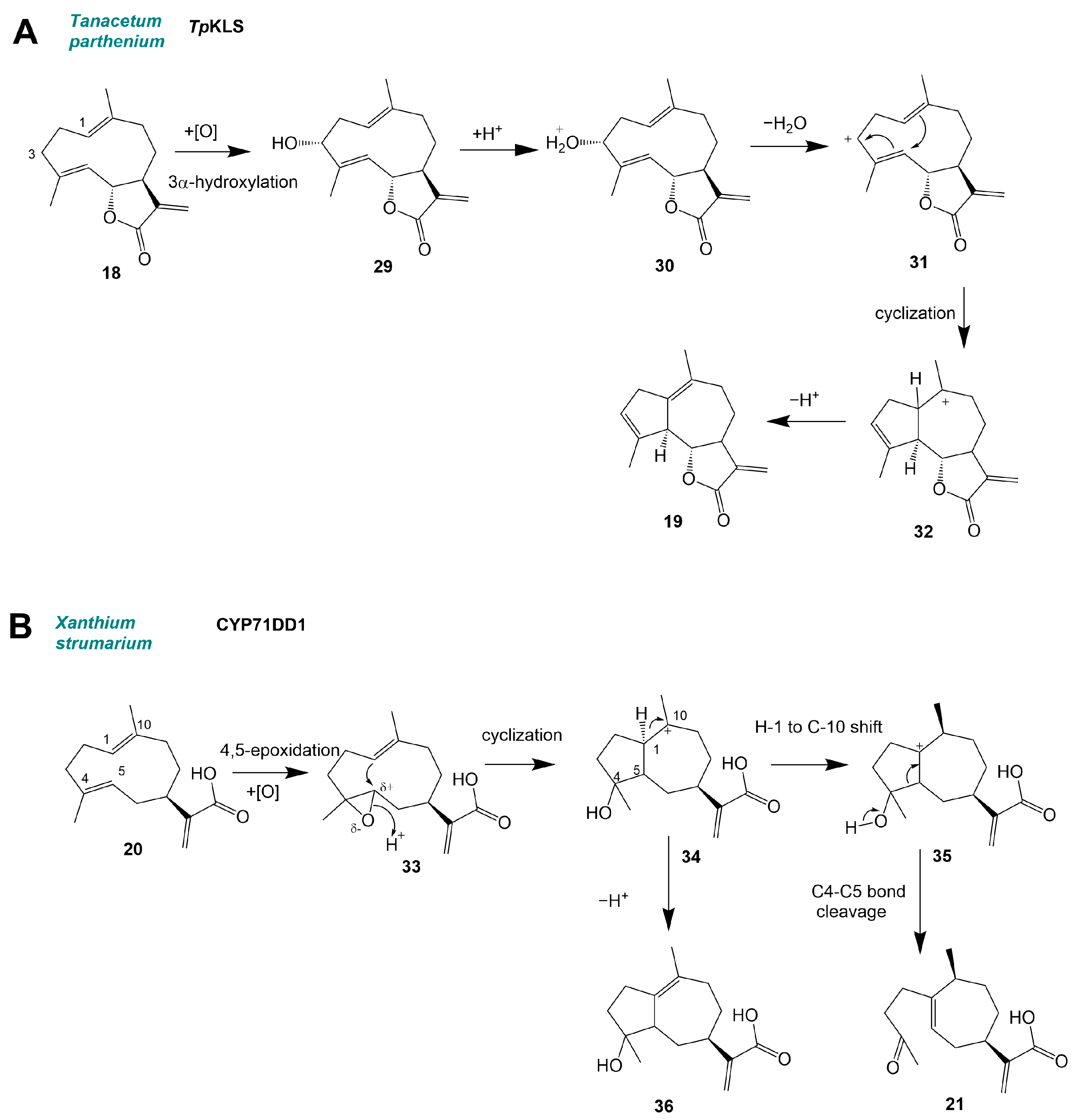Molecules 30 03540 g005