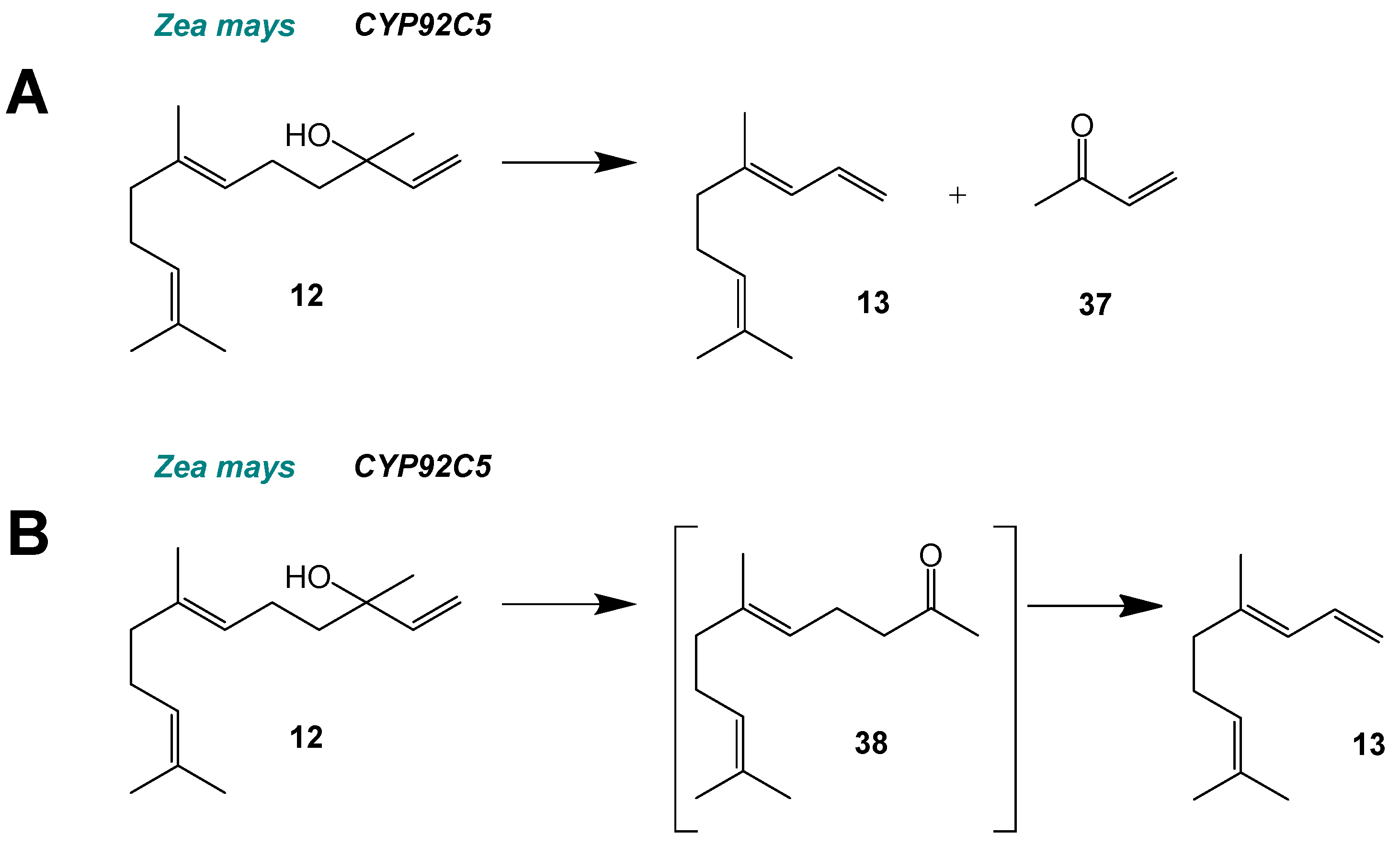 Molecules 30 03540 g006