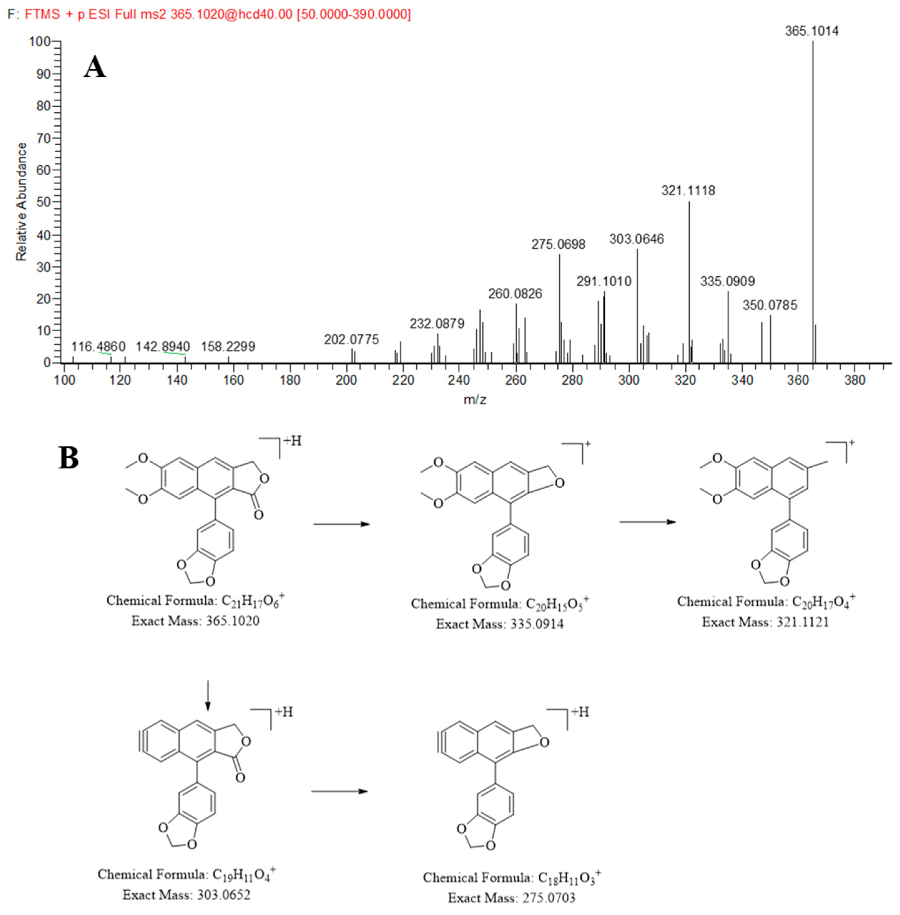 Molecules 30 03554 g002 Molecules 30 03554 g002