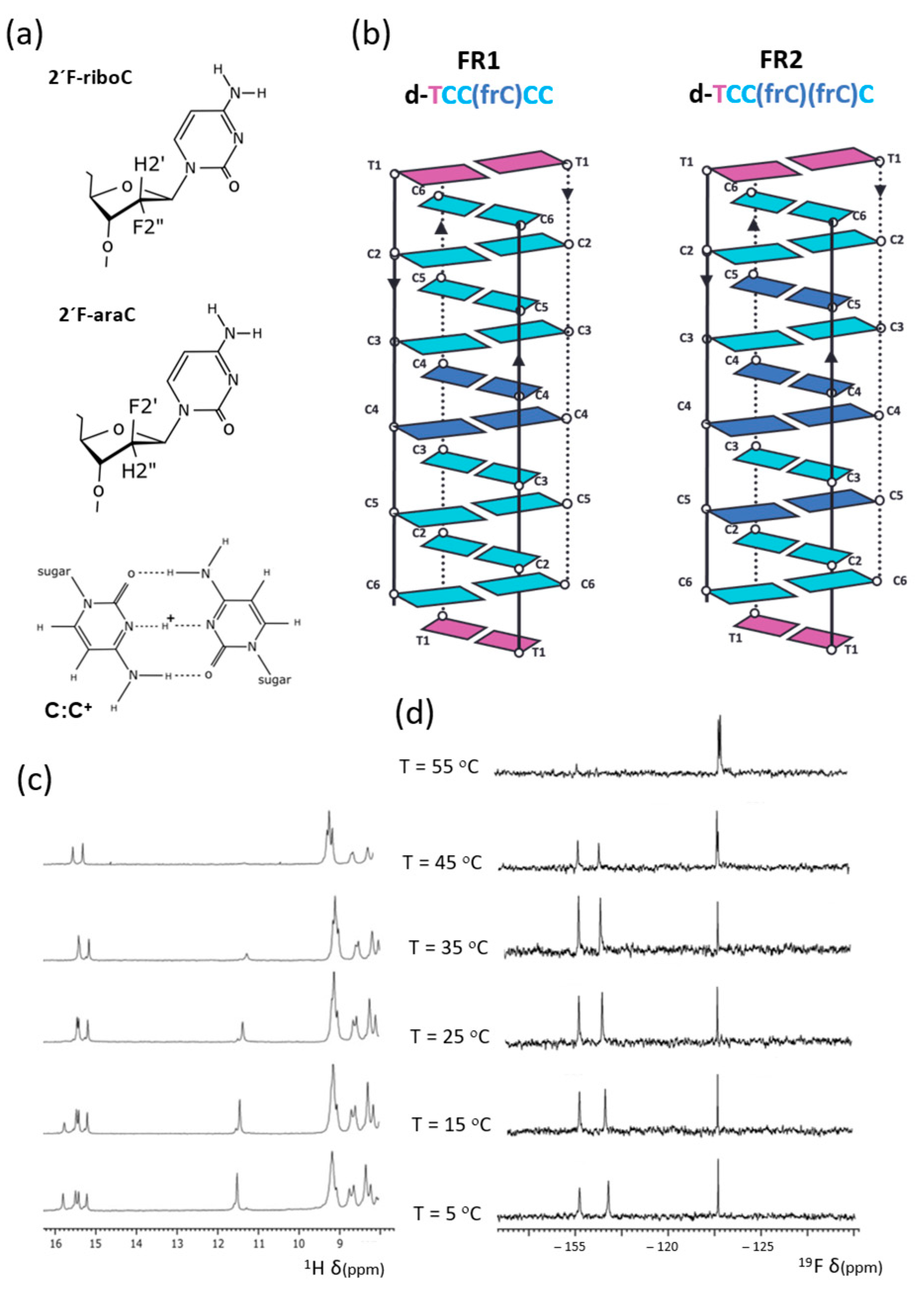 Molecules 30 03561 g001