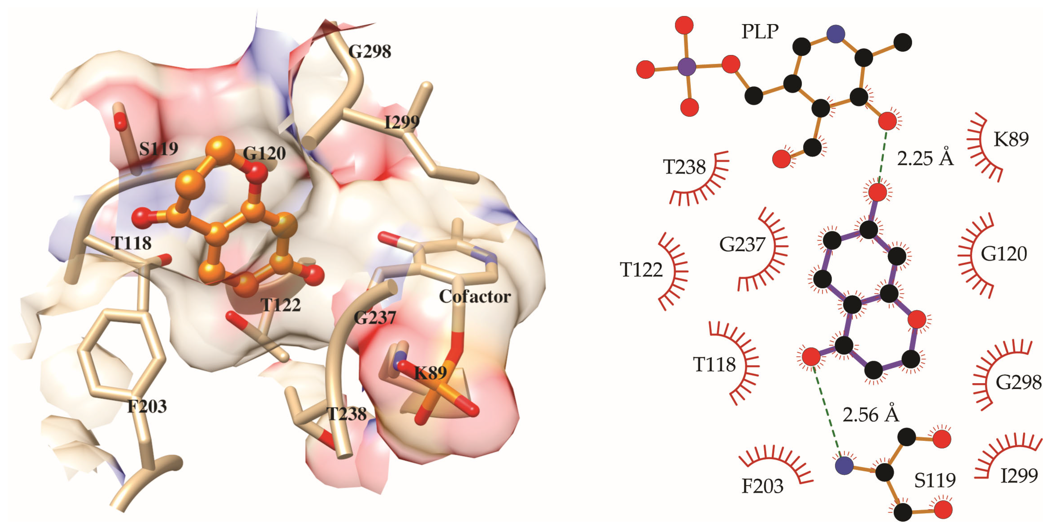 Molecules 30 03575 g003
