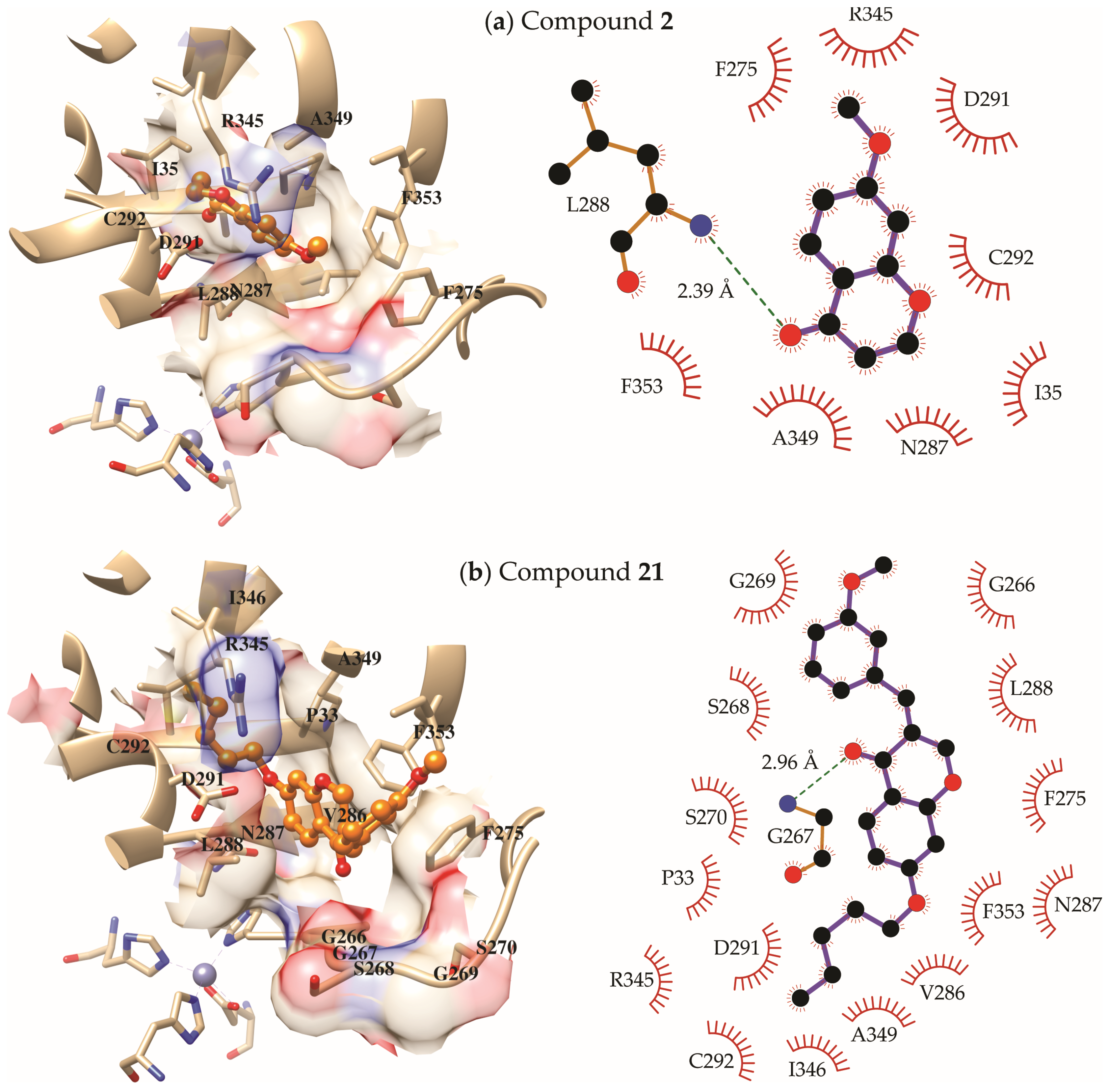 Molecules 30 03575 g004