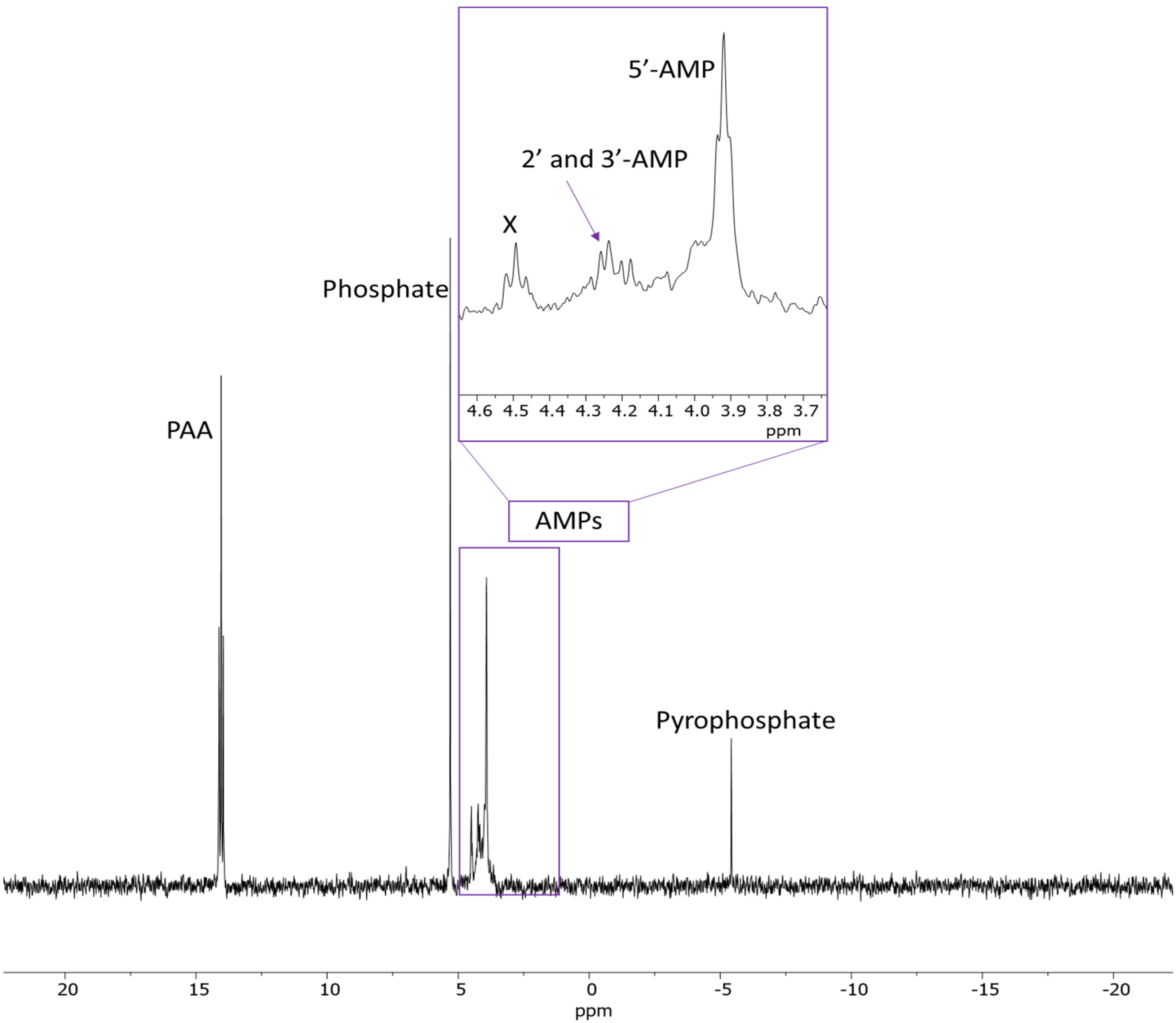 Molecules 30 03587 g002