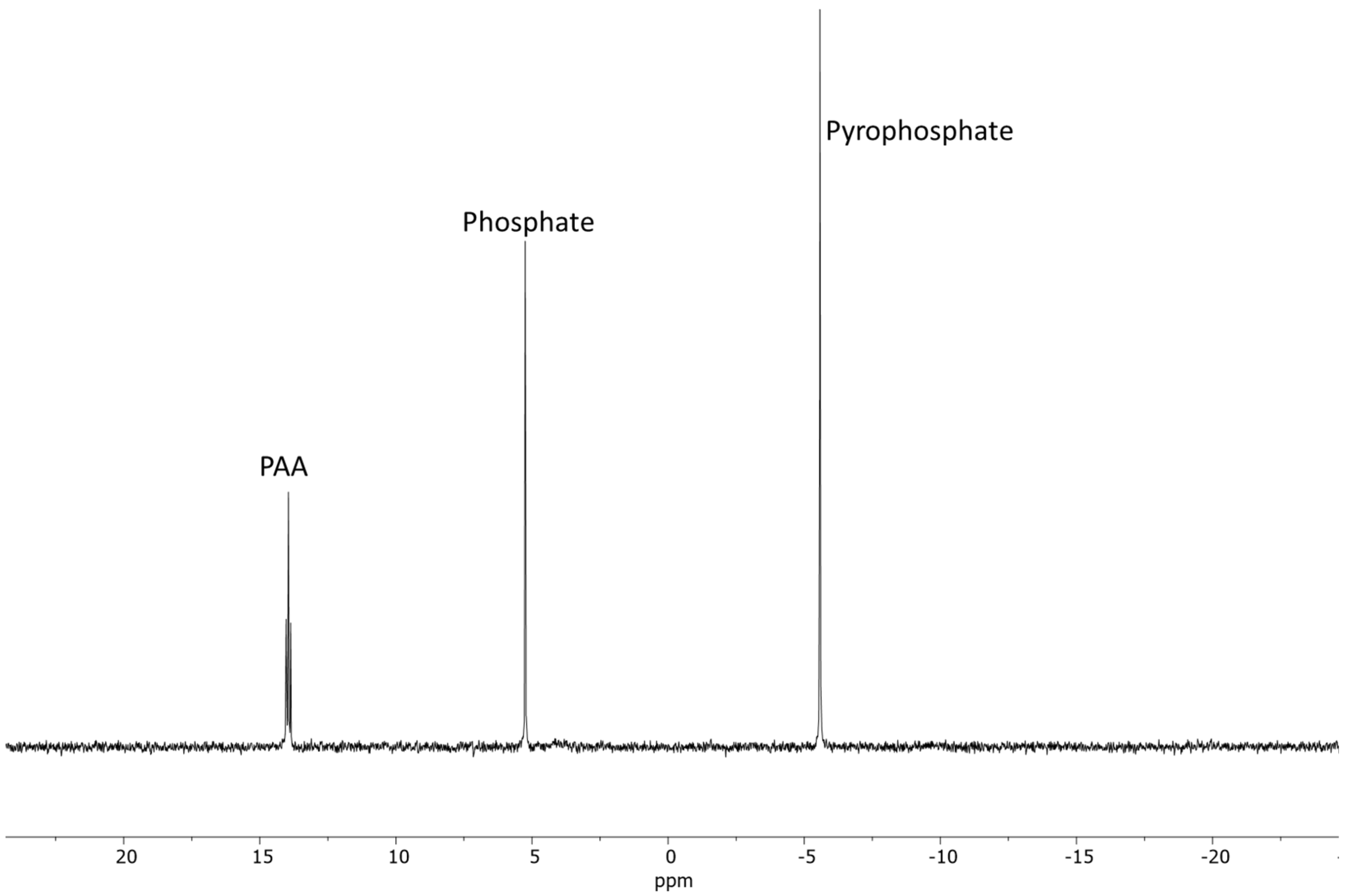 Molecules 30 03587 g004
