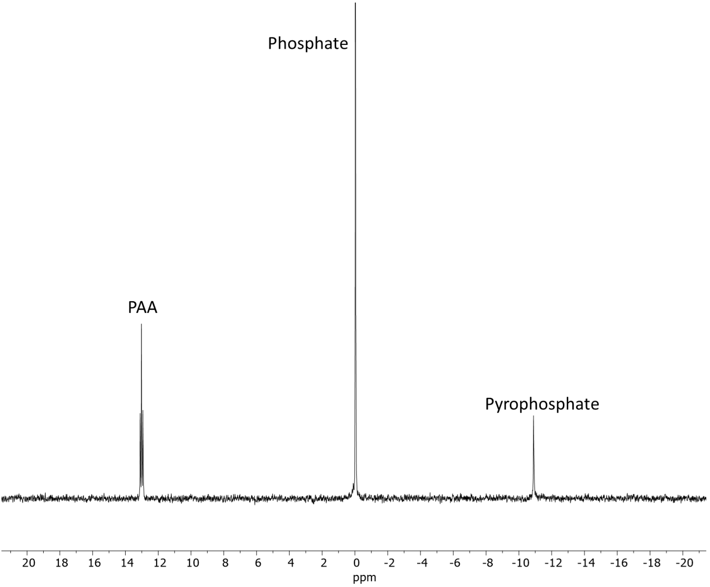 Molecules 30 03587 g005