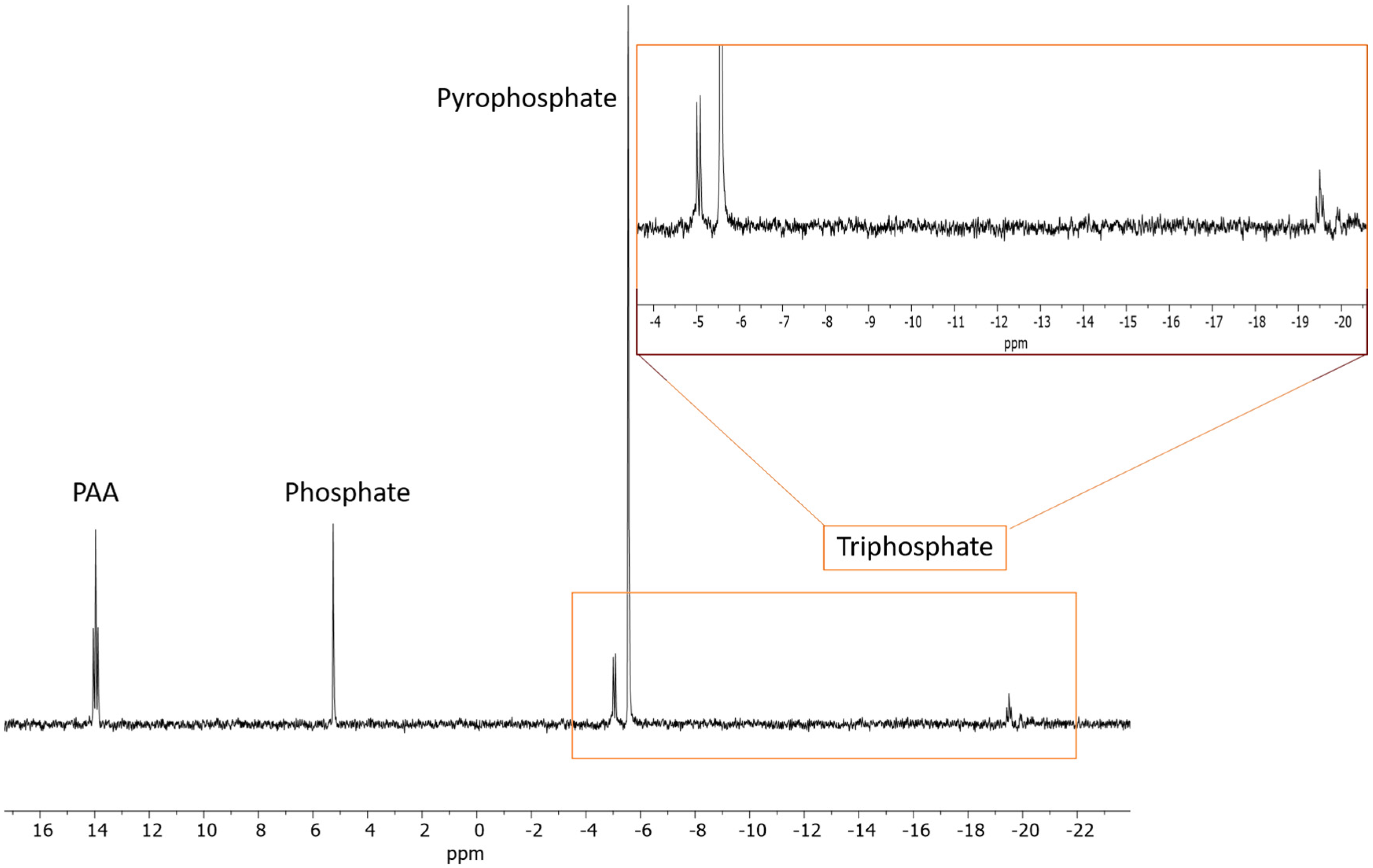 Molecules 30 03587 g006