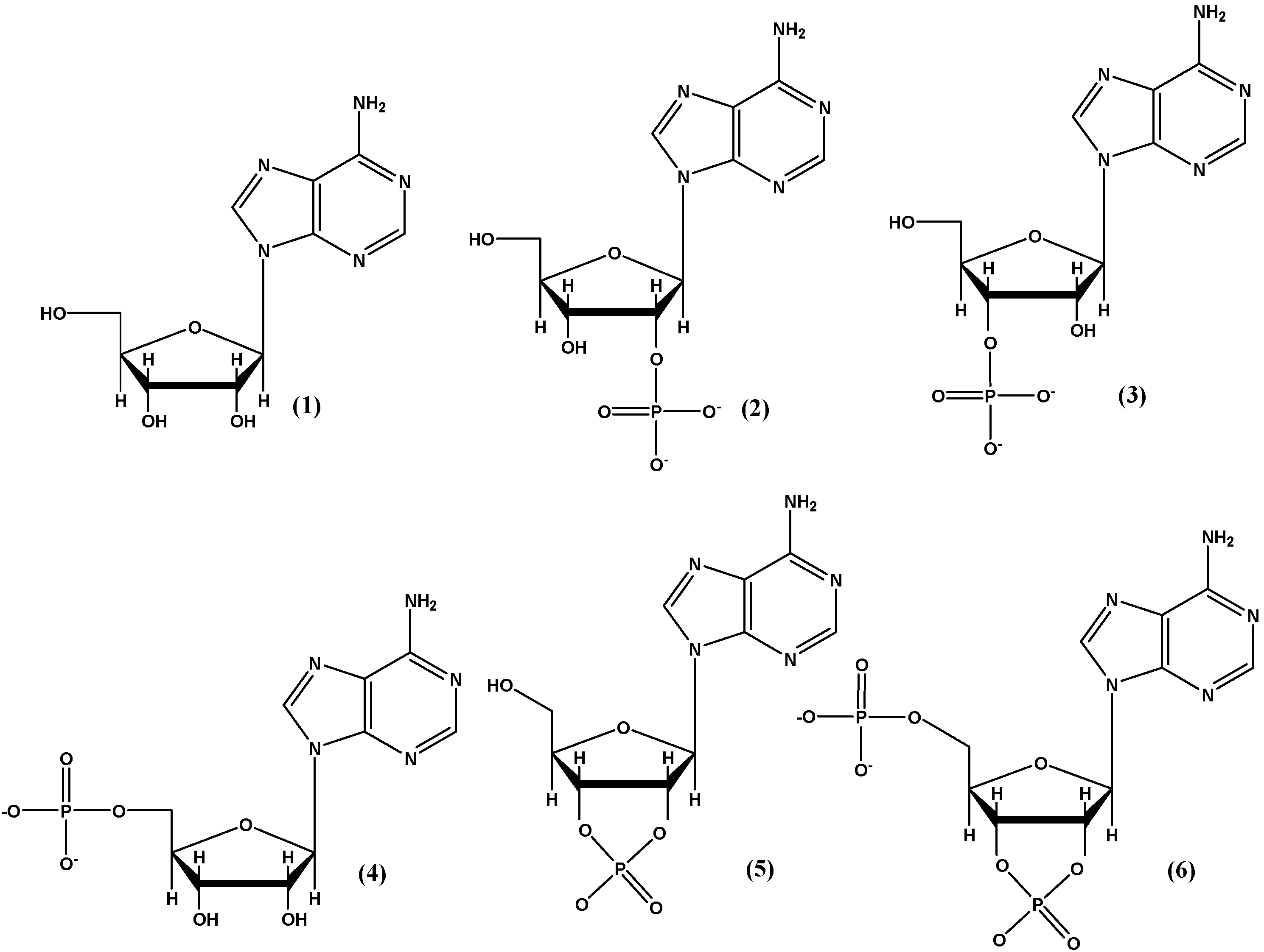 Molecules 30 03587 g010