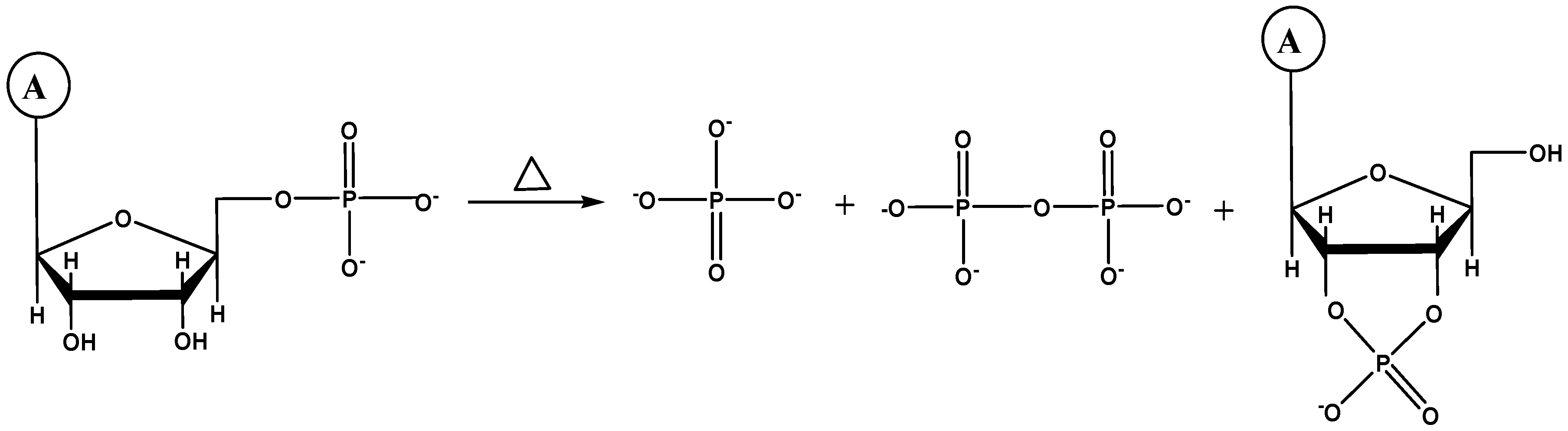Molecules 30 03587 sch001