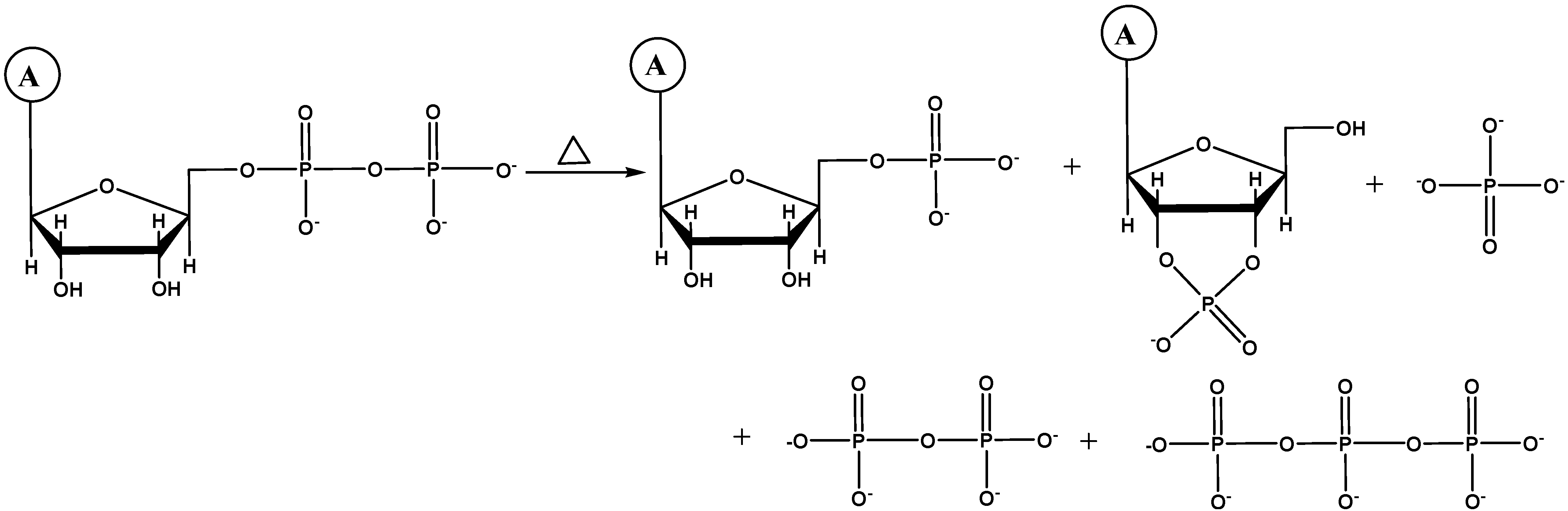 Molecules 30 03587 sch002