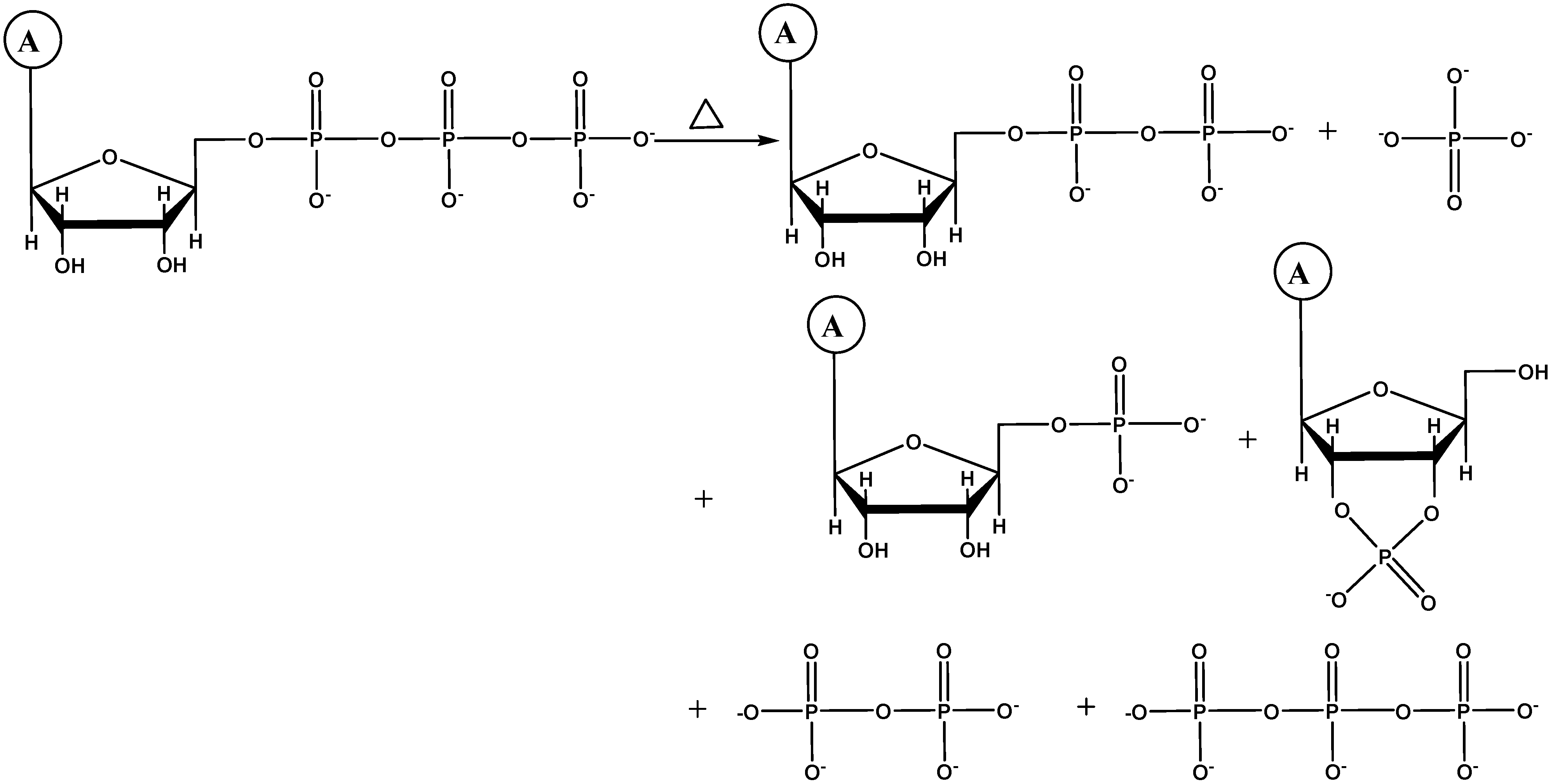Molecules 30 03587 sch003