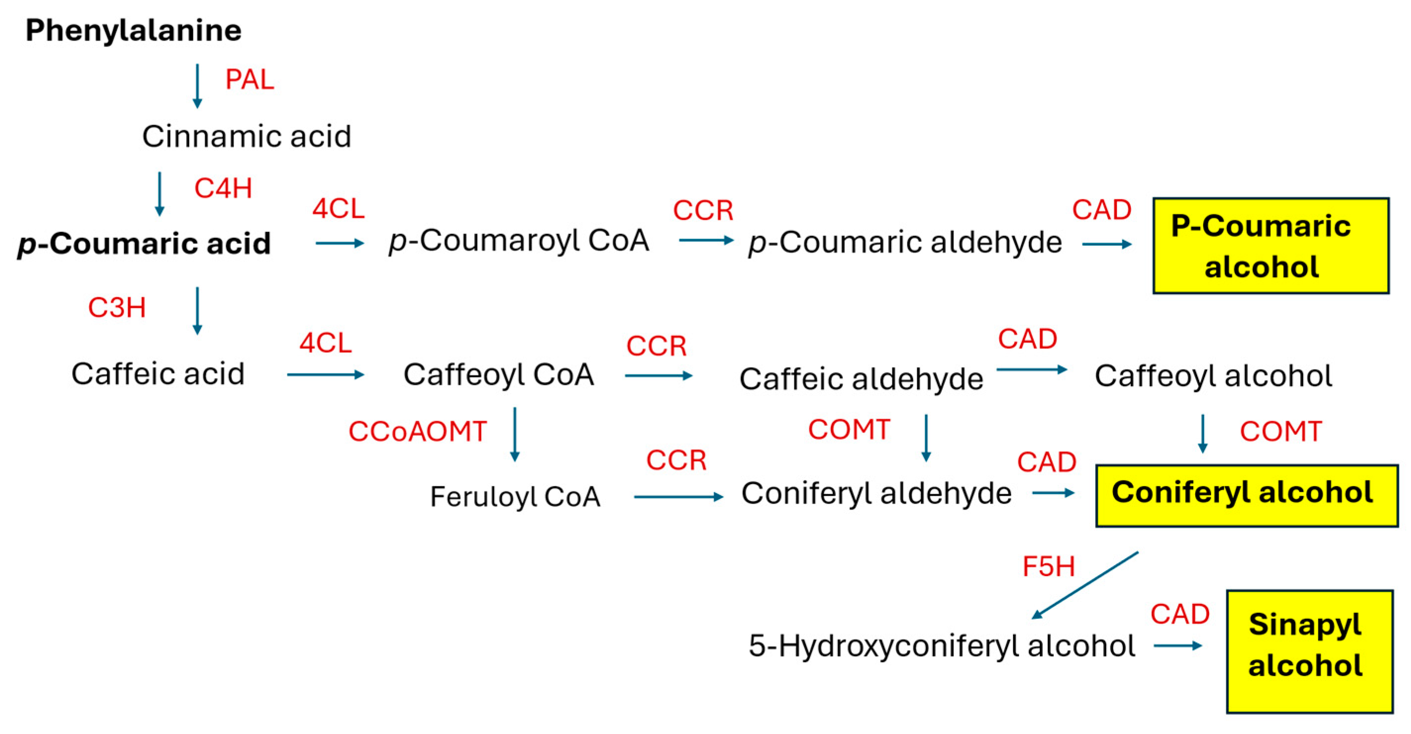 Molecules 30 03596 g003 Molecules 30 03596 g003
