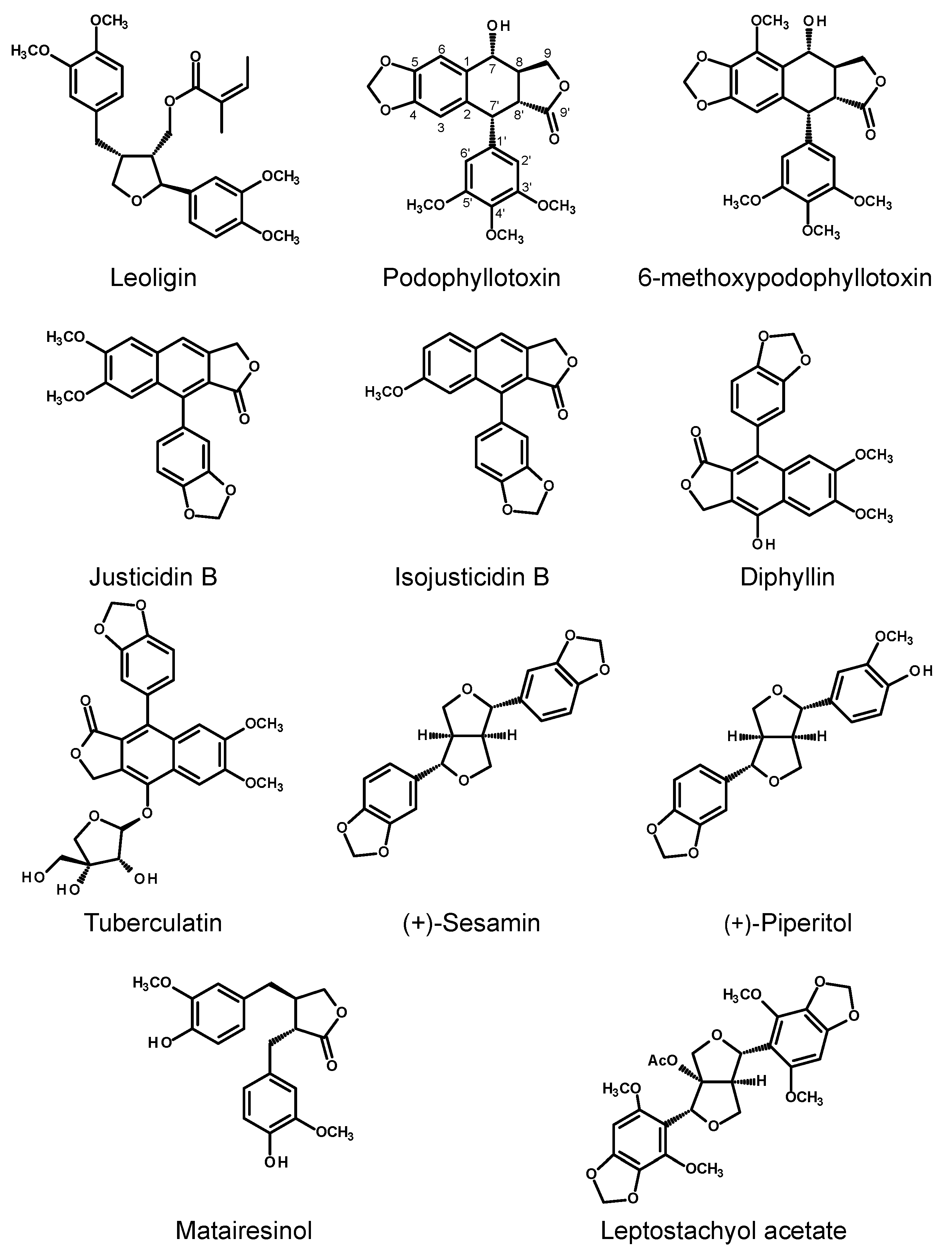 Molecules 30 03596 g004 Molecules 30 03596 g004