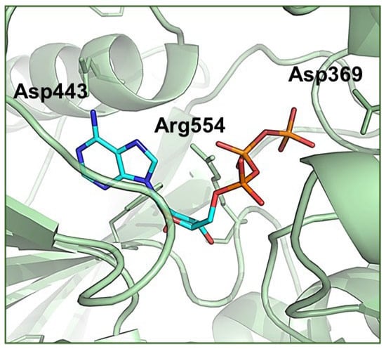 Molecules 30 03609 g008