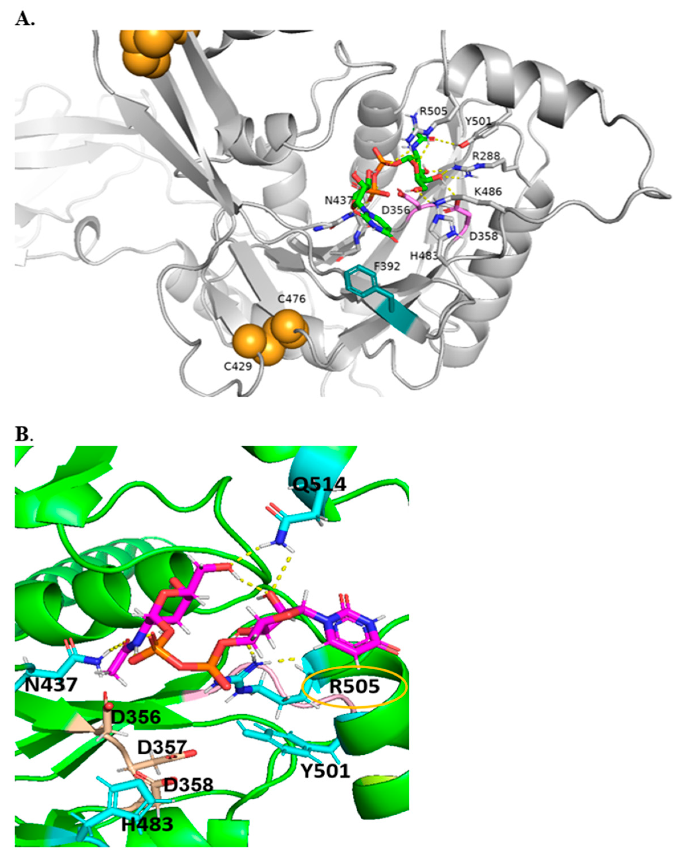 Molecules 30 03615 g004