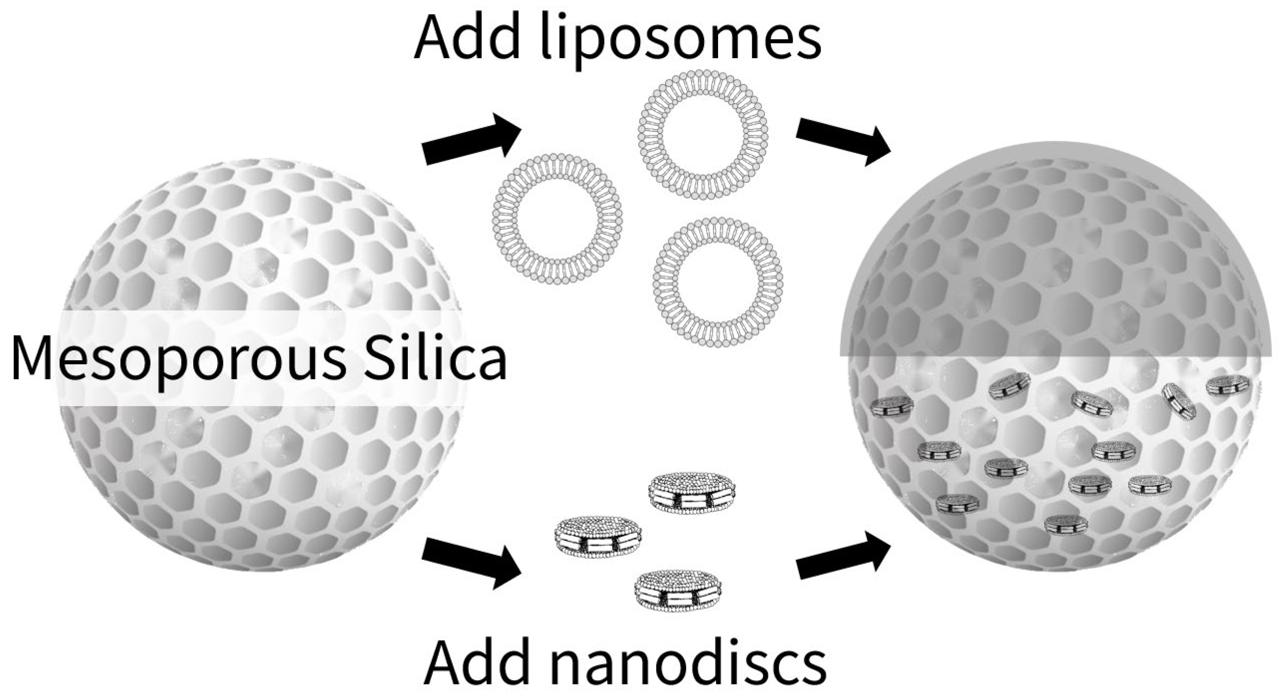Molecules 30 03621 g001 Molecules 30 03621 g001