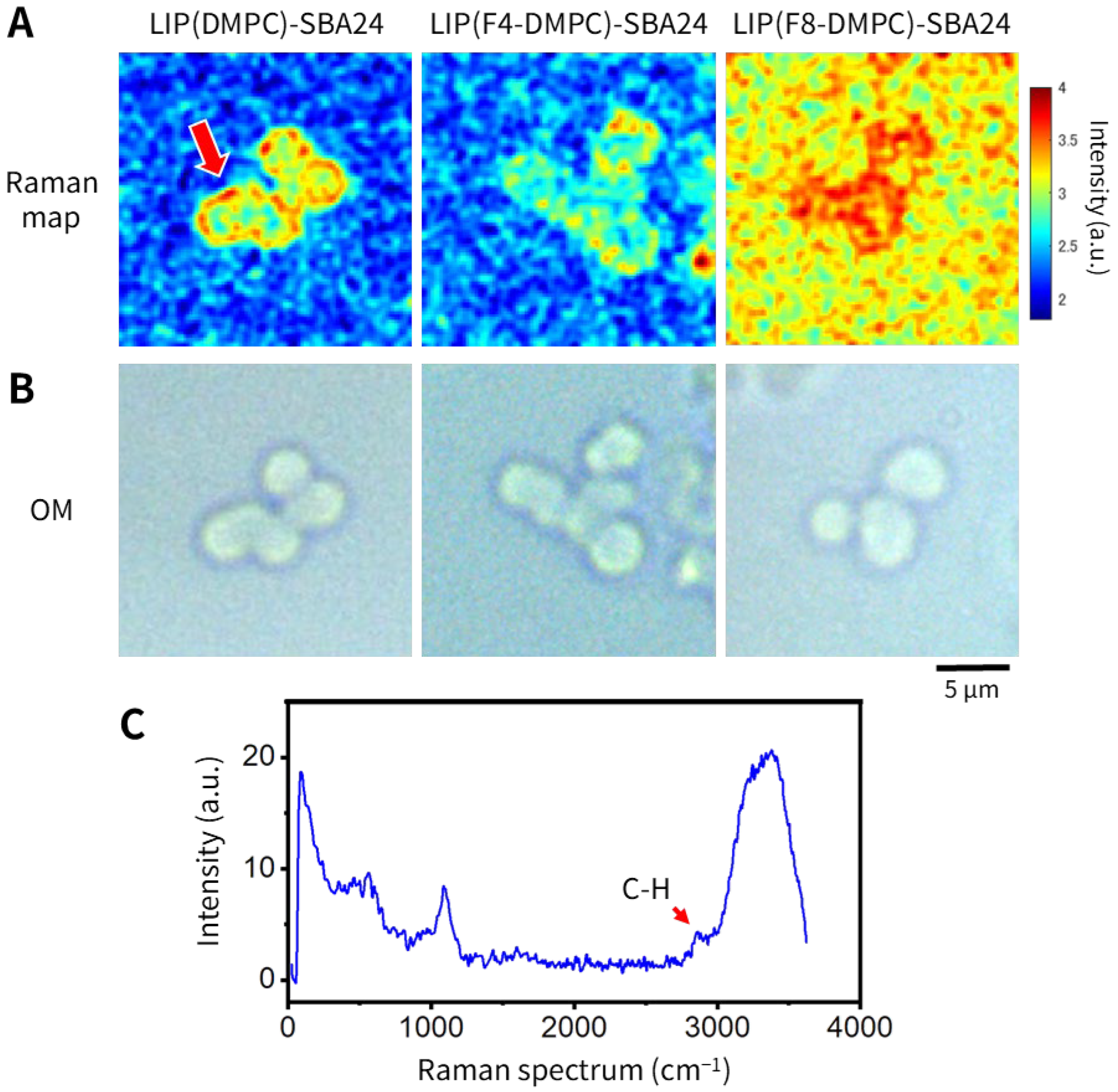 Molecules 30 03621 g008 Molecules 30 03621 g008